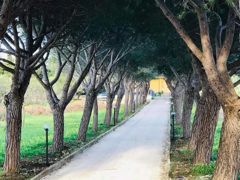 Turtle Island Apartments