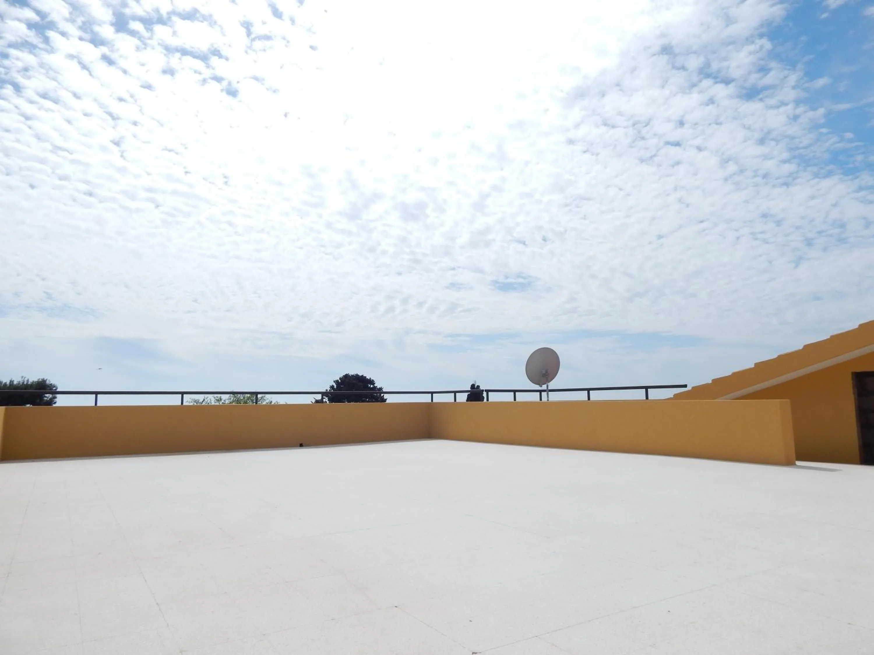 Turtle Island Apartments