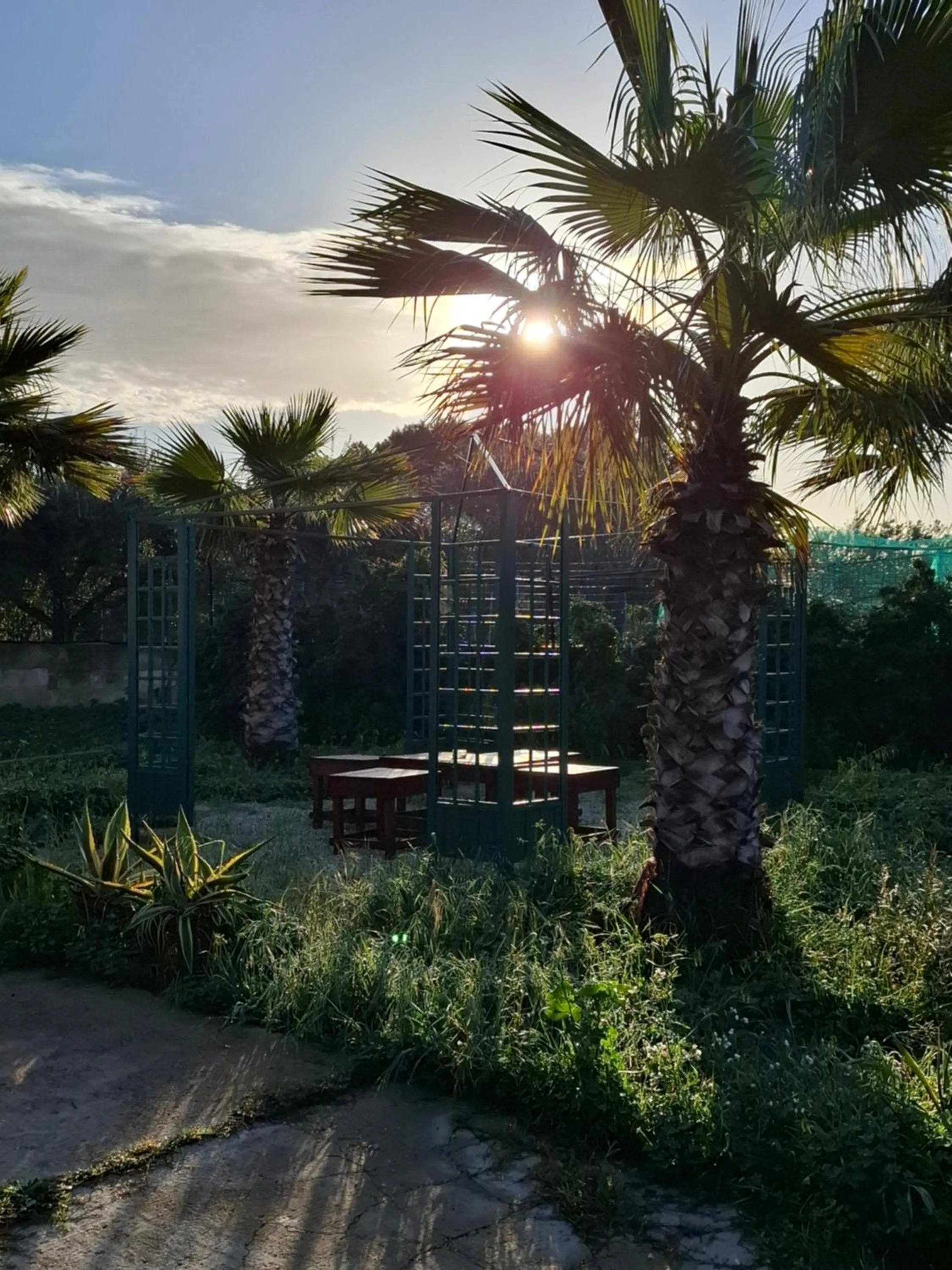 Turtle Island Apartments