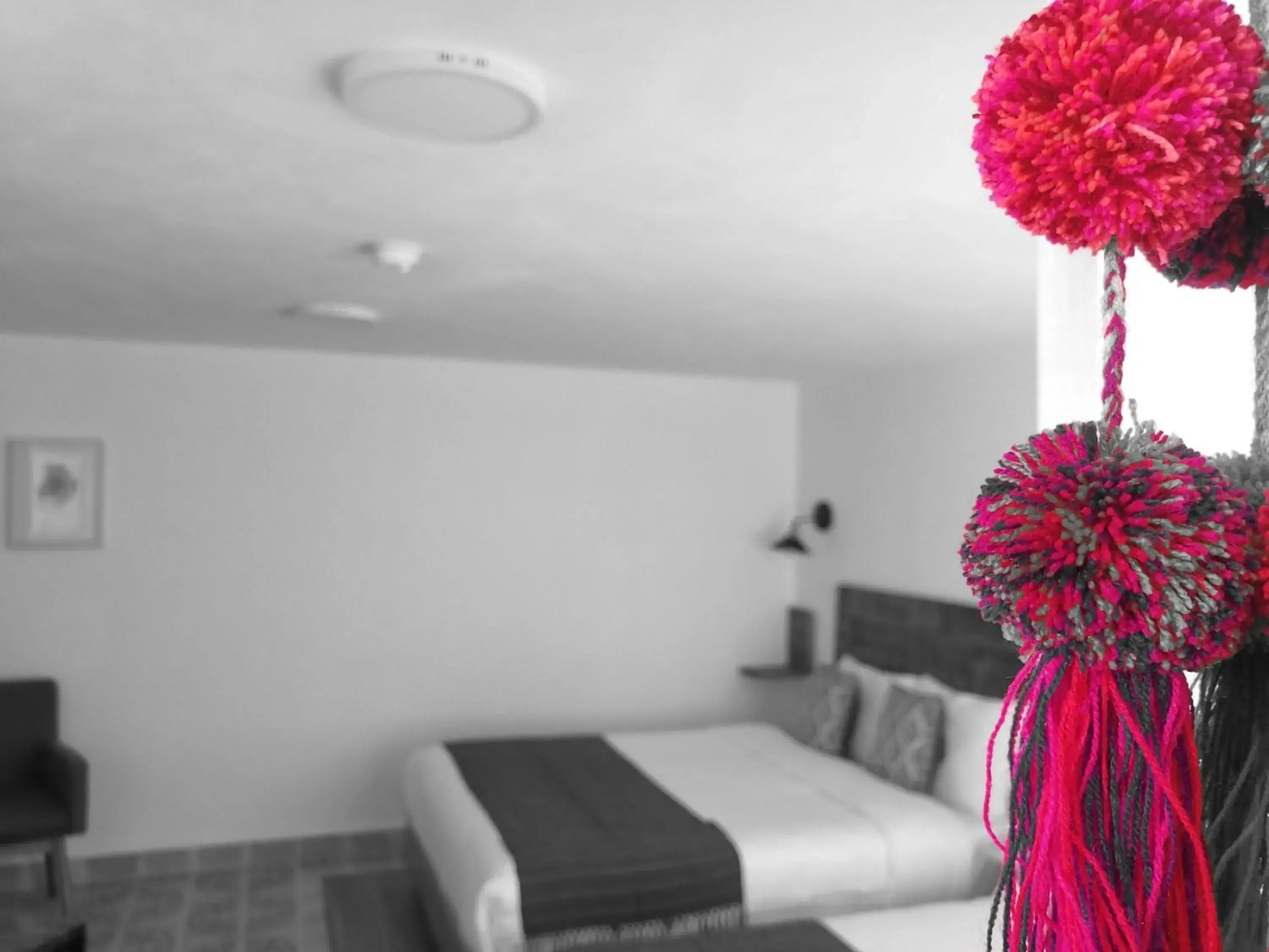 Suite in Santa Josefita B&B Suite in Santa Josefita B&B