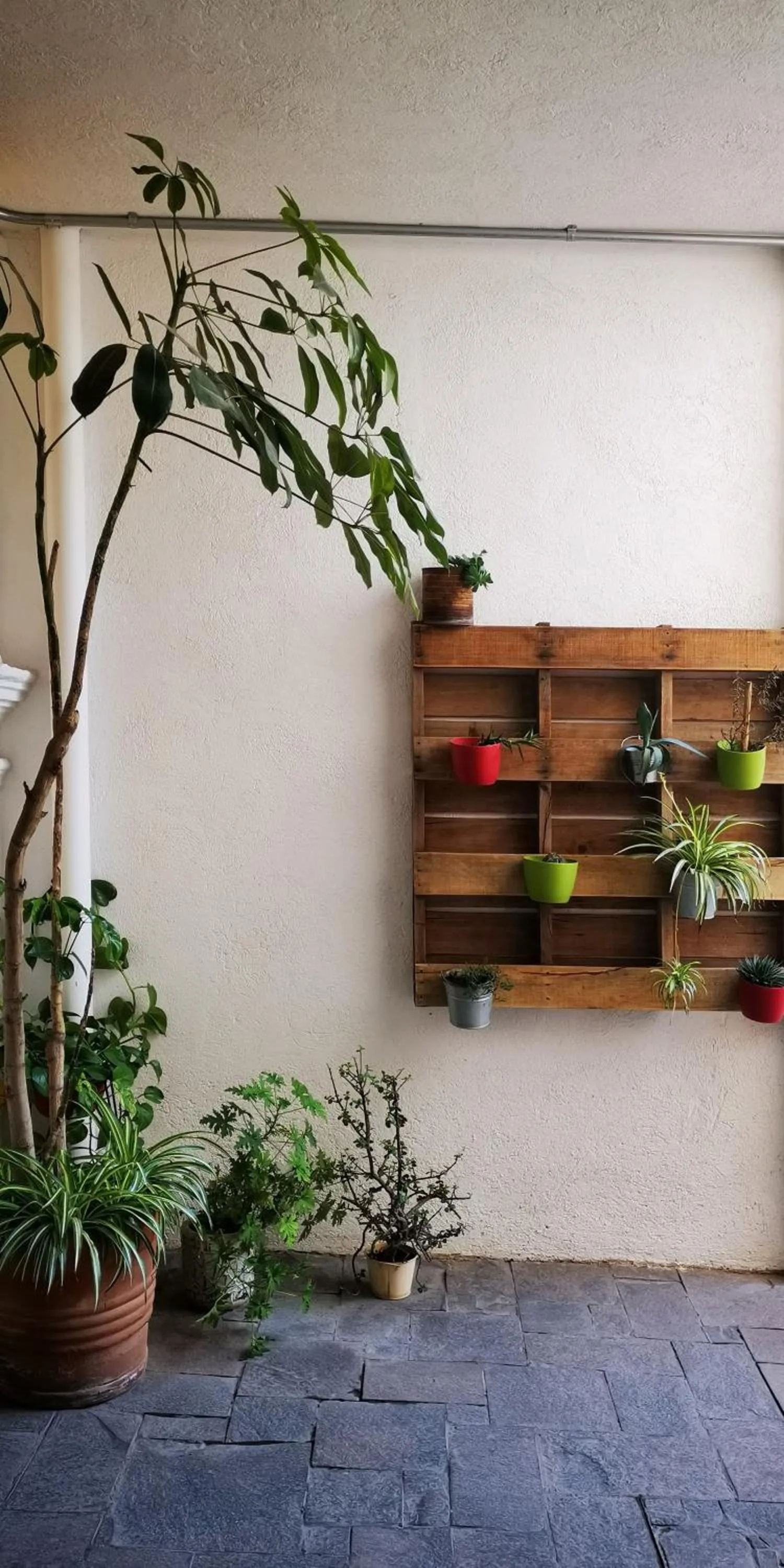 Property building in Santa Josefita B&B