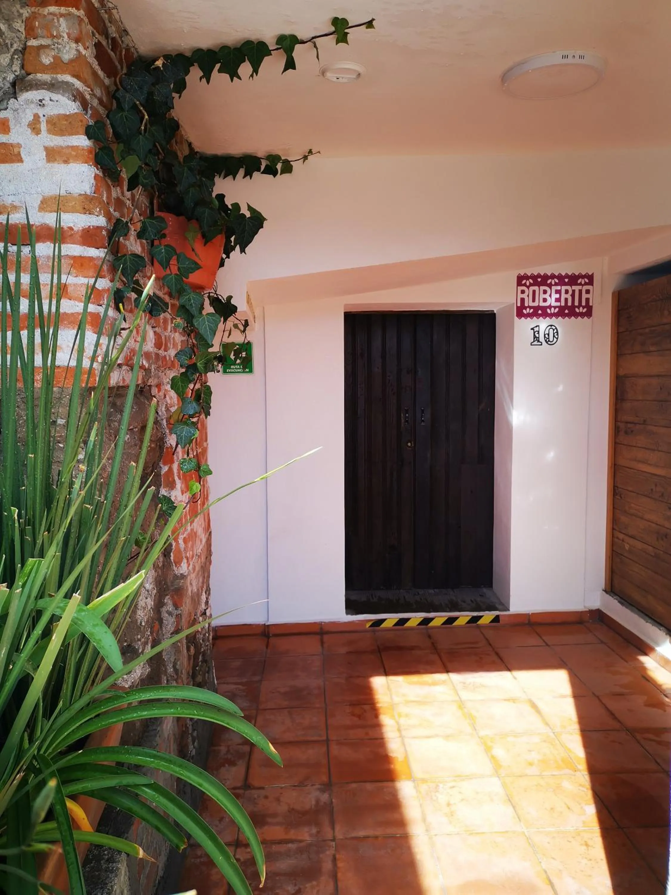 Day in Santa Josefita B&B