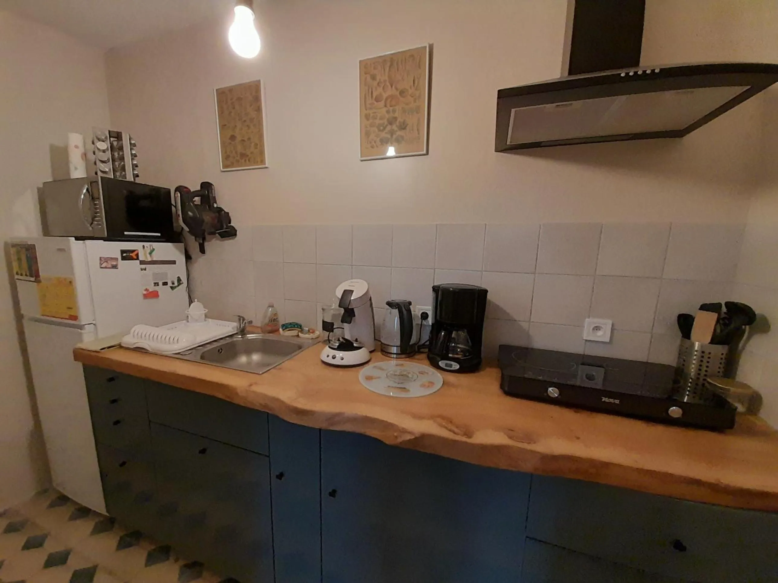 Kitchen or kitchenette in Domaine du Grand Ormeau