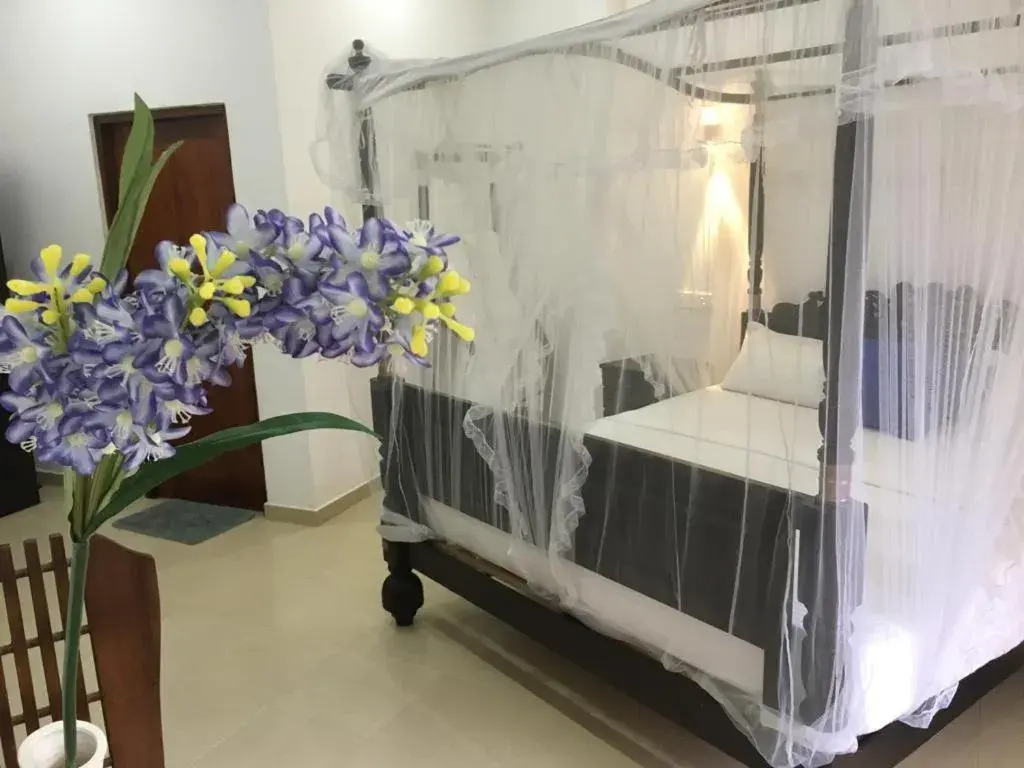 Galle Fantacy Galle Fantacy