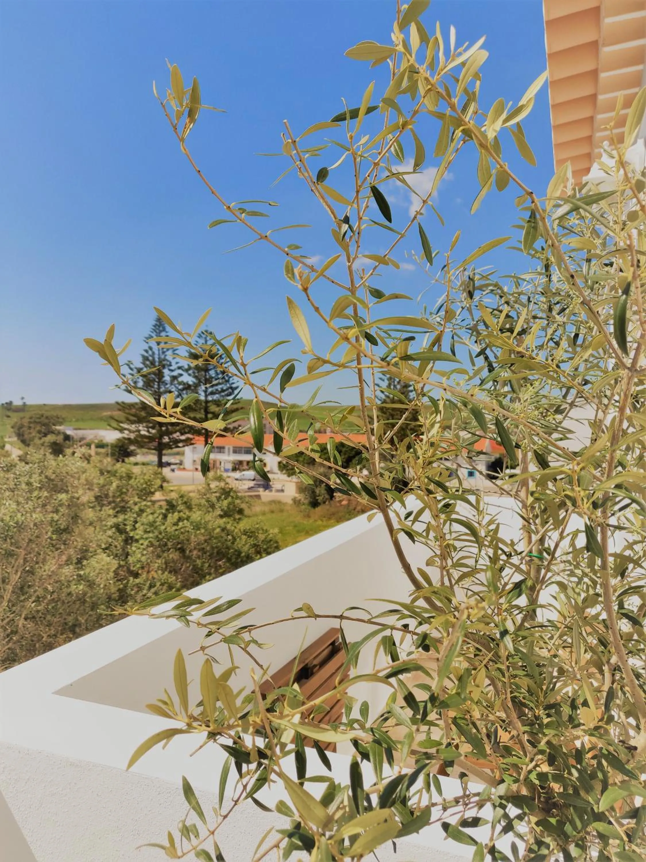 Property building in Pure Fonte Velha B&B