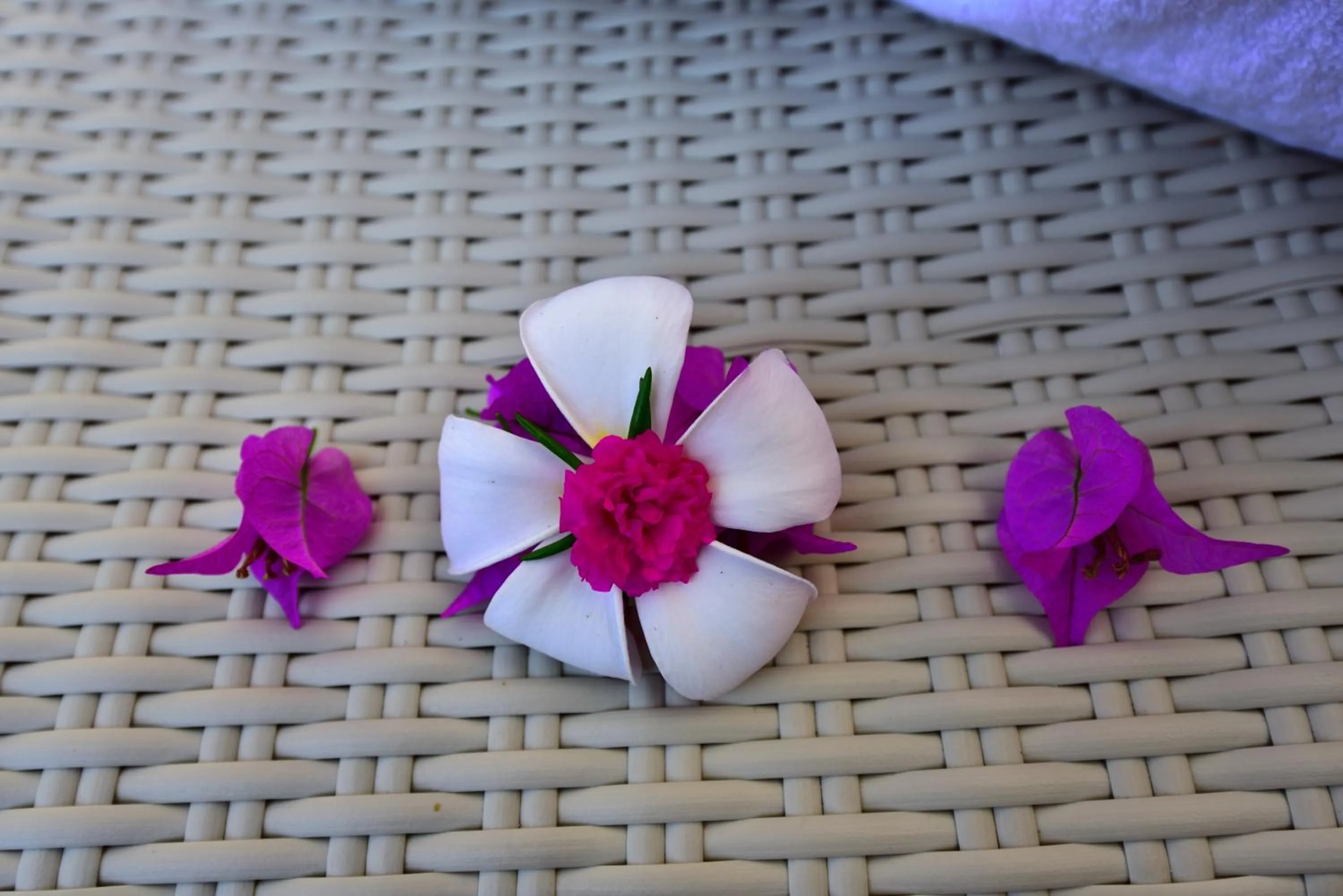 Decorative detail in Cantika Villa