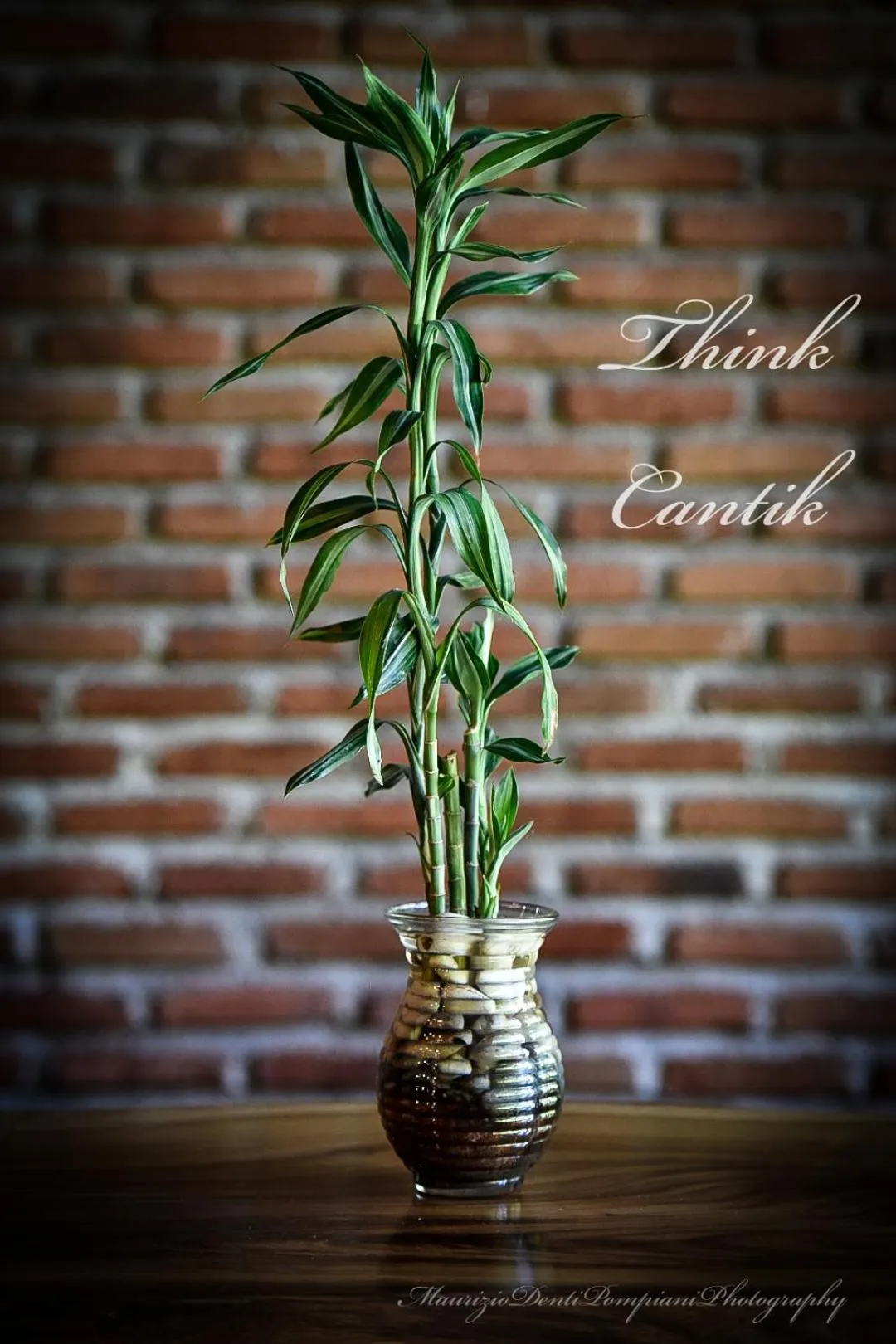 Other in Cantika Villa