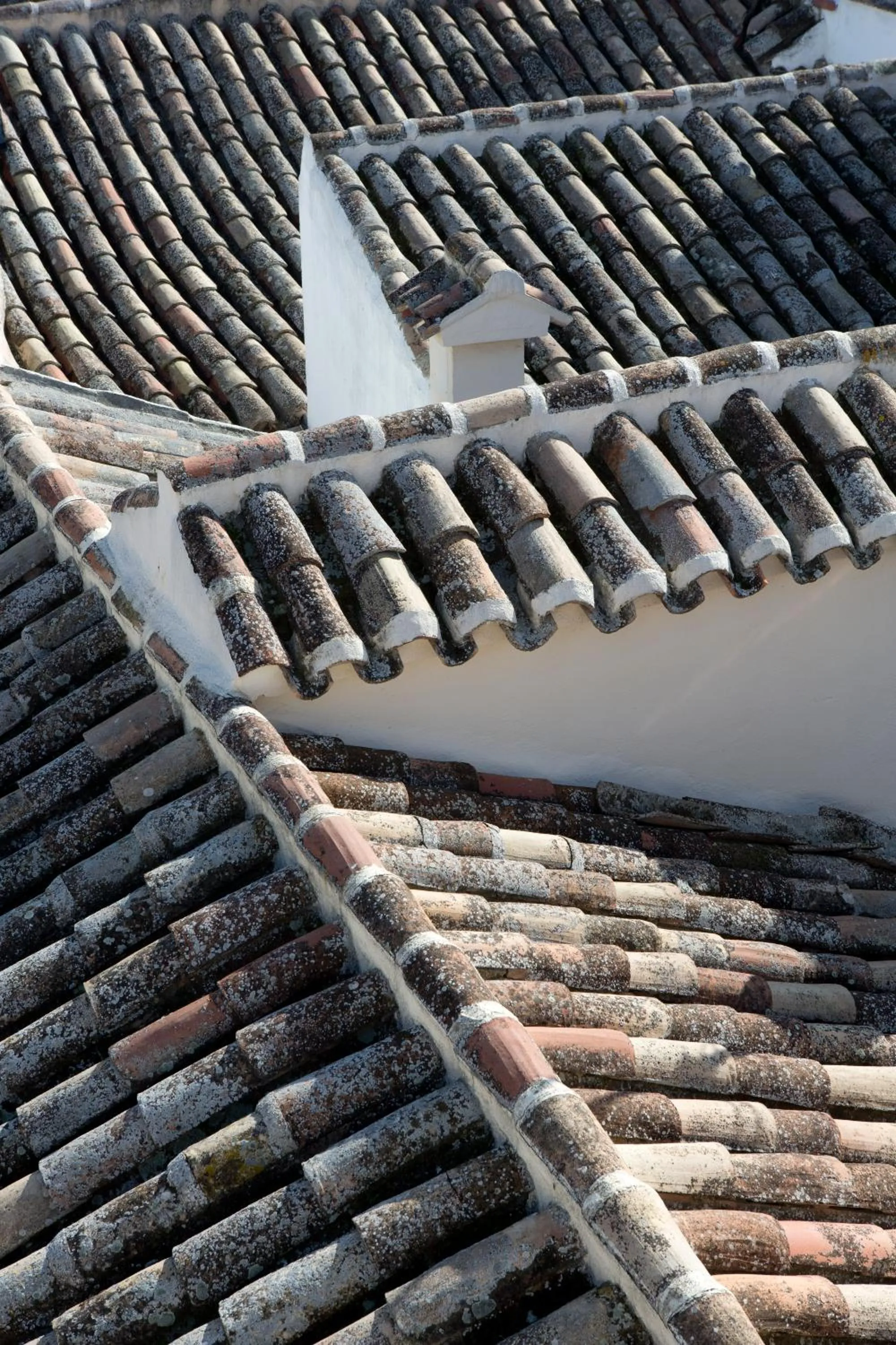 Area and facilities in Antidoto Rooms San Agustín - Recomendado para adultos