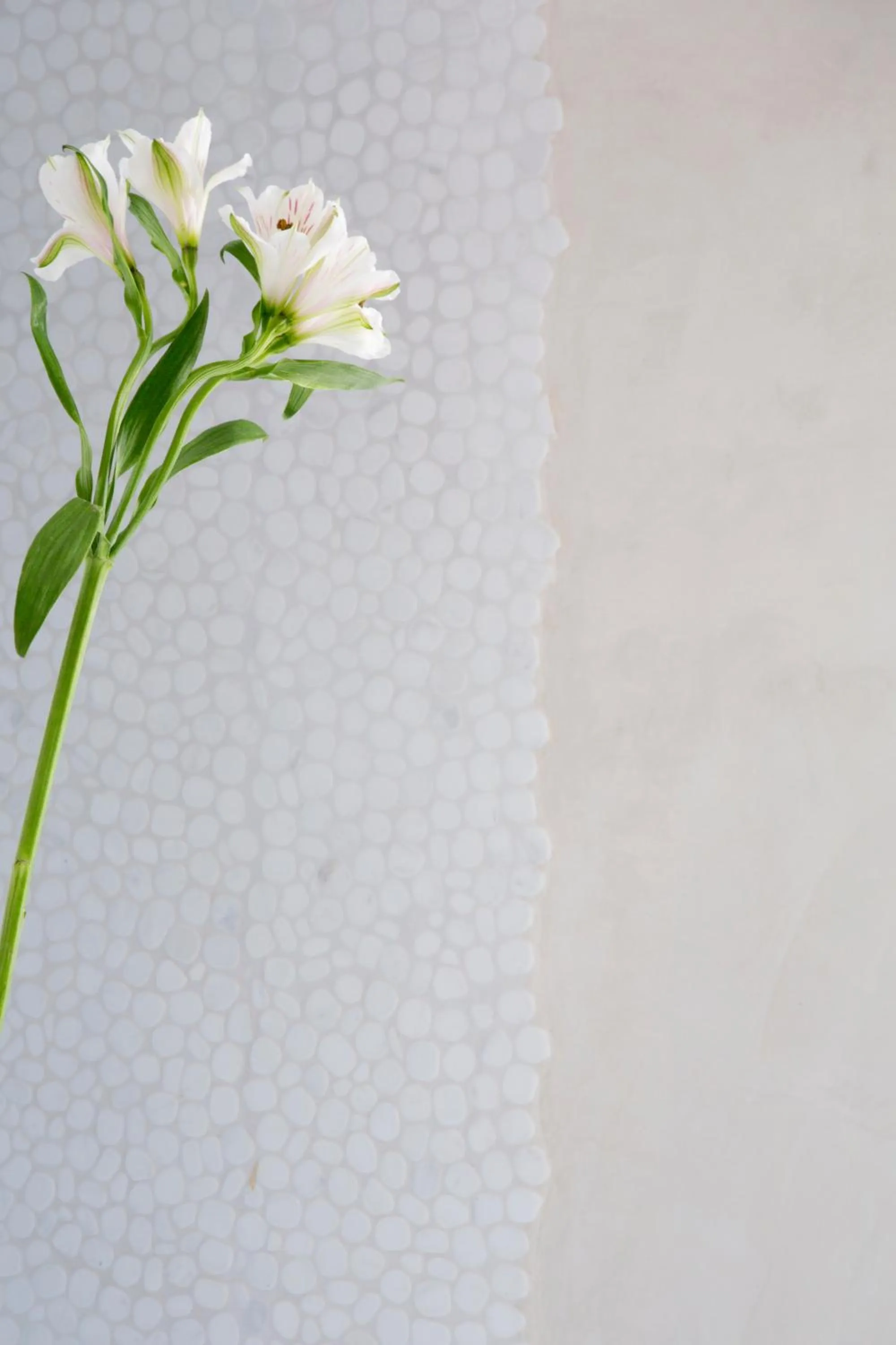 Other in Antidoto Rooms San Agustín - Recomendado para adultos