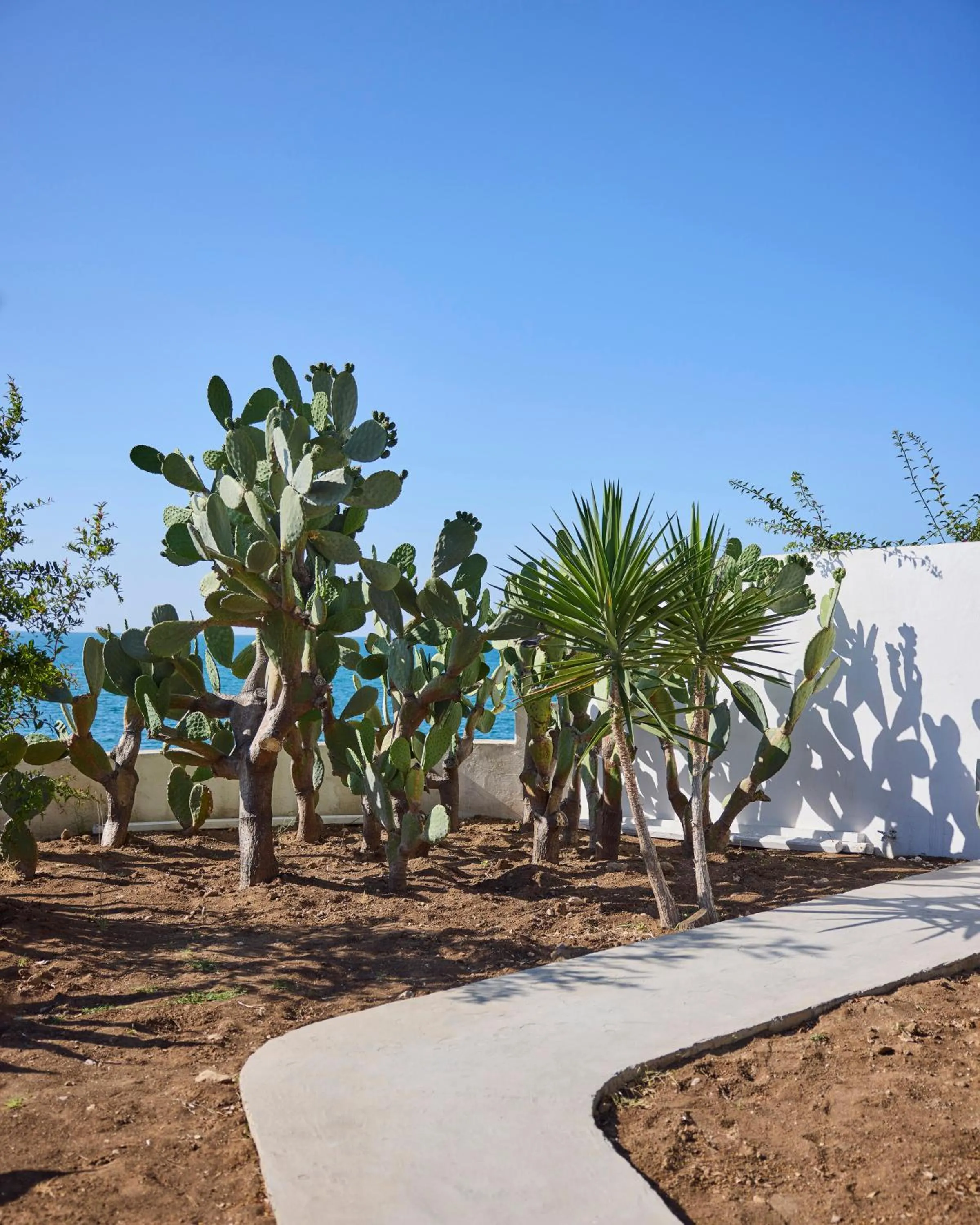 Garden in La Casa E Il Mare, Private Bay Hotel