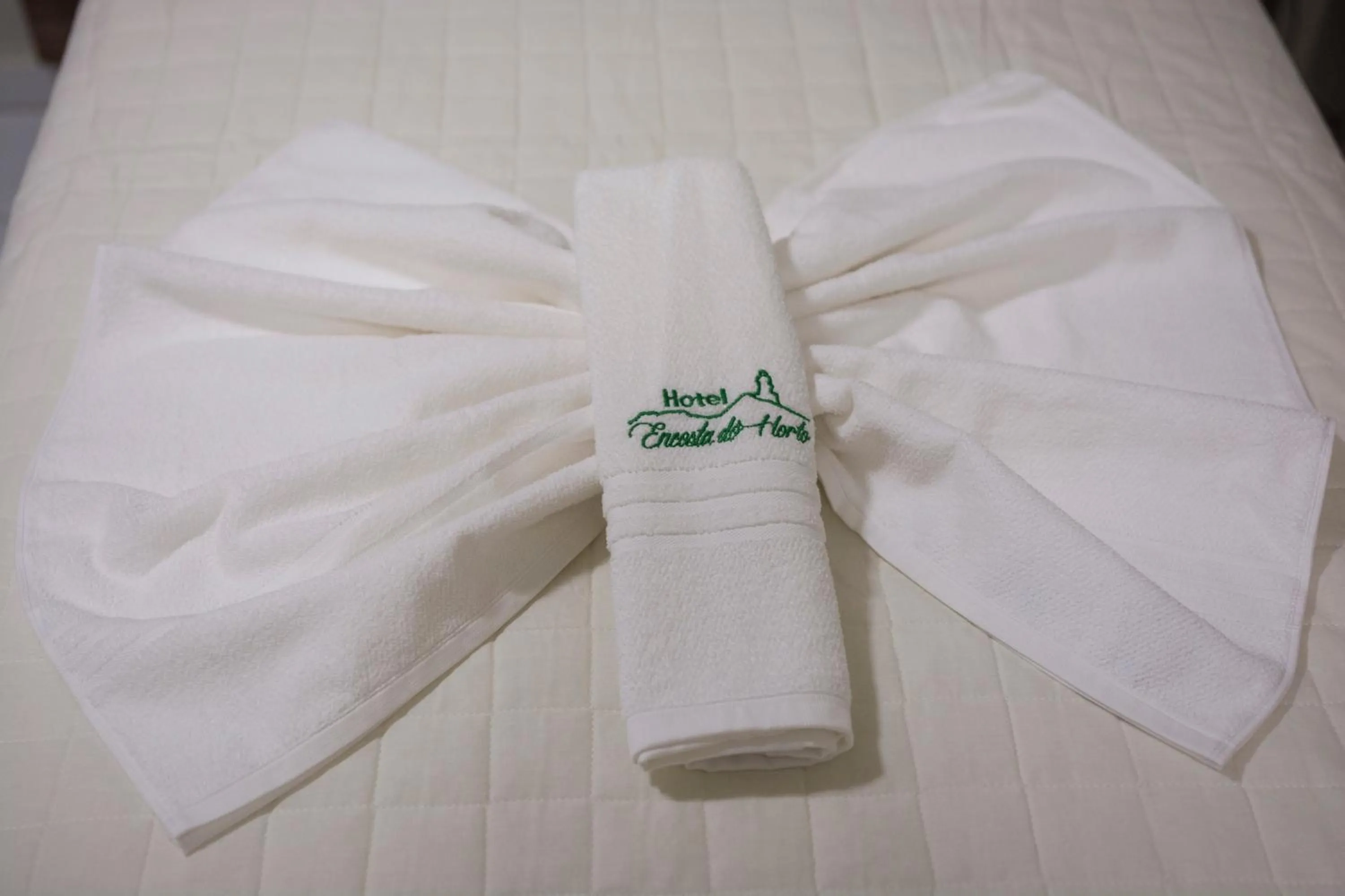 Hotel Encosta do Horto