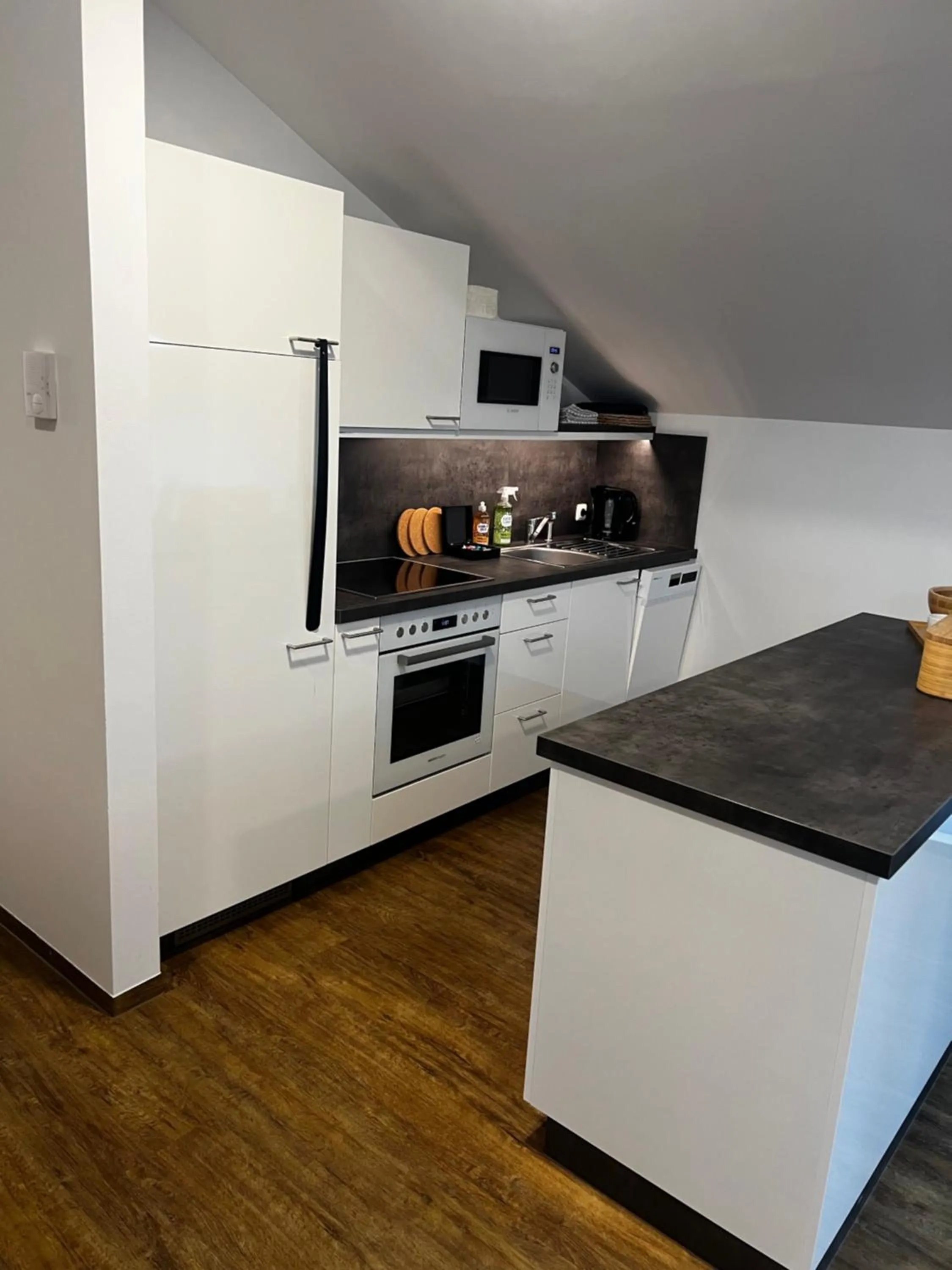 Kitchen or kitchenette in Hotel Stiegler Bed & Breakfast