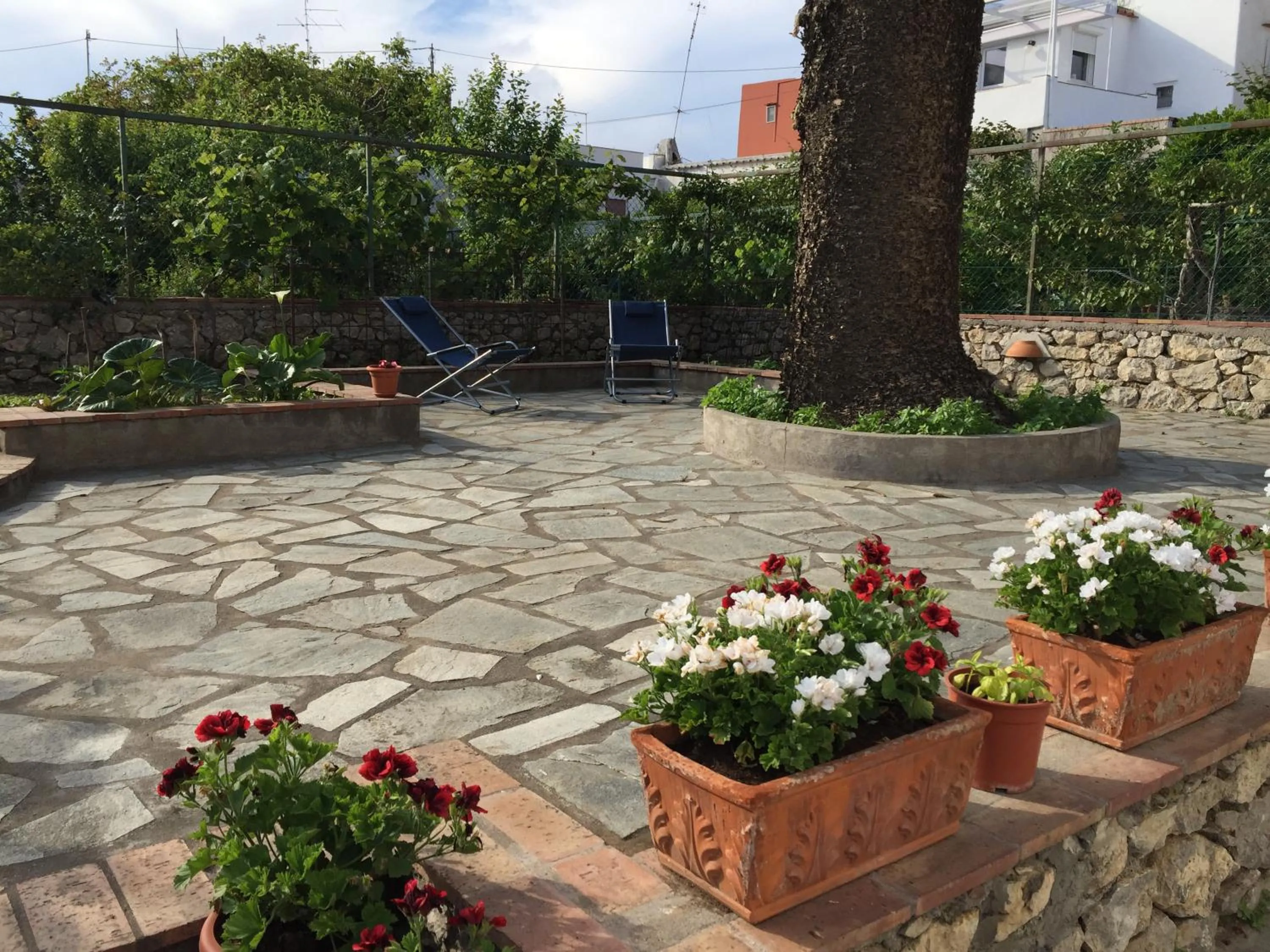 Garden in Casa Adriana