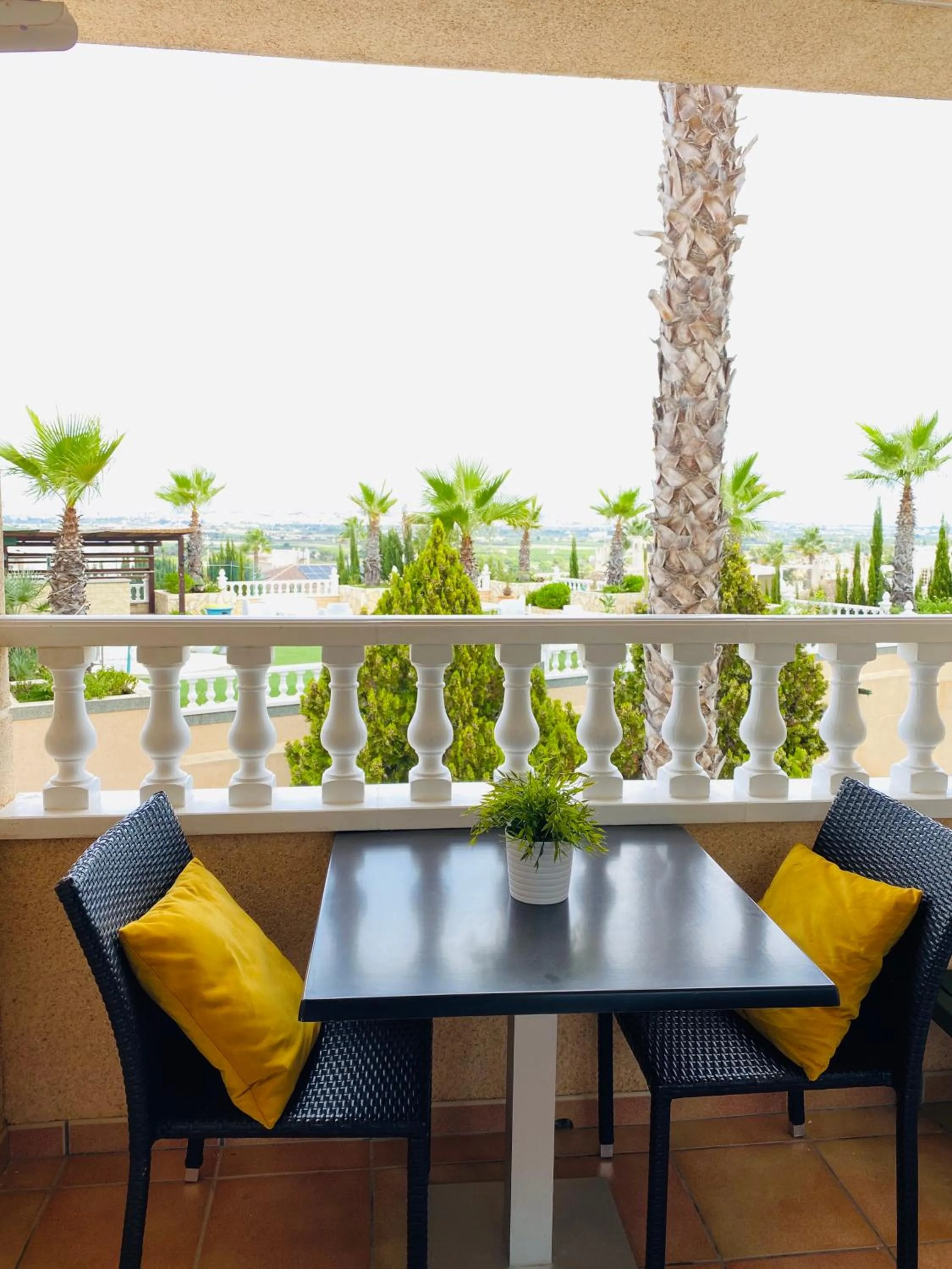 Day in Hotel Costa Blanca Rojales