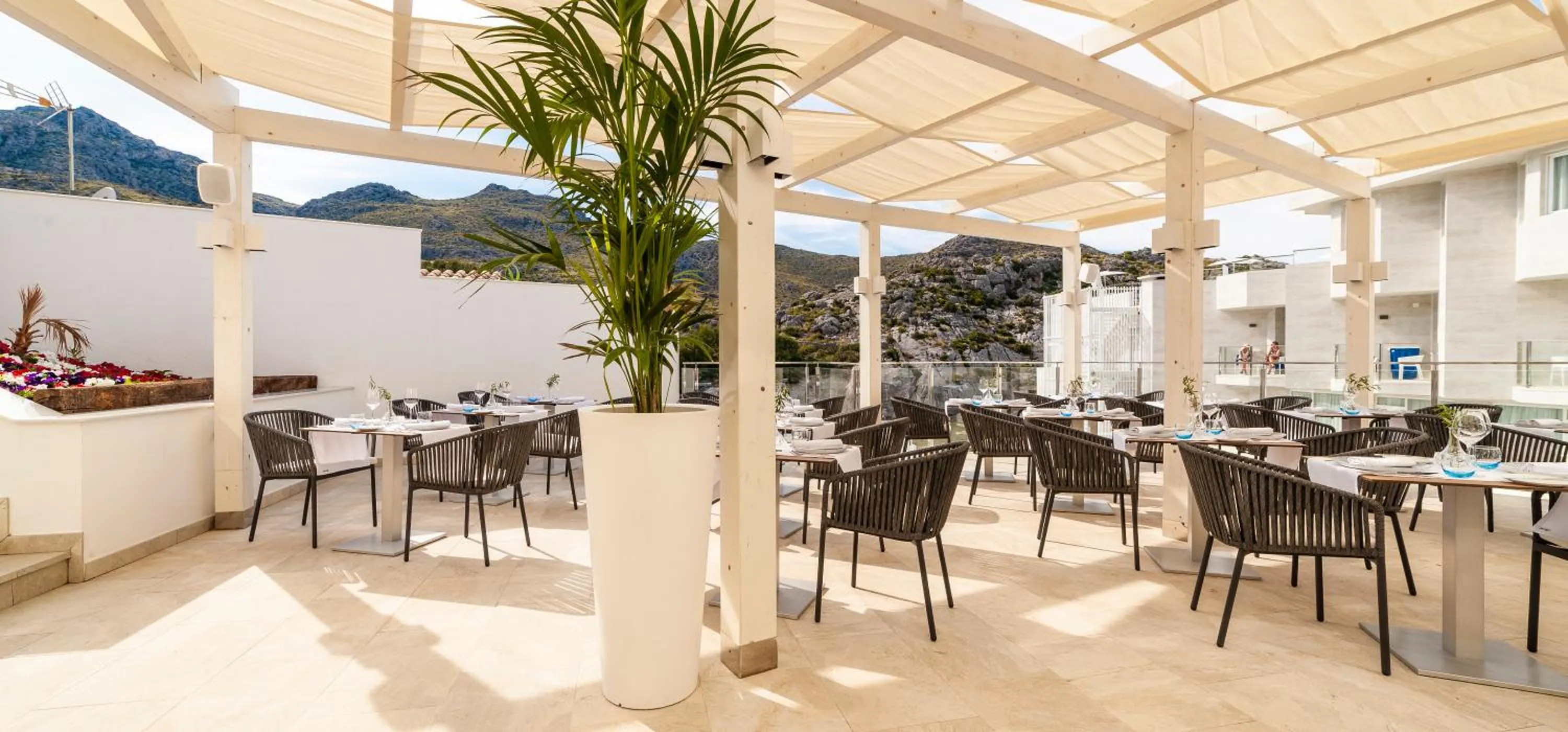 Restaurant/places to eat in Globales Don Pedro - Adults Only