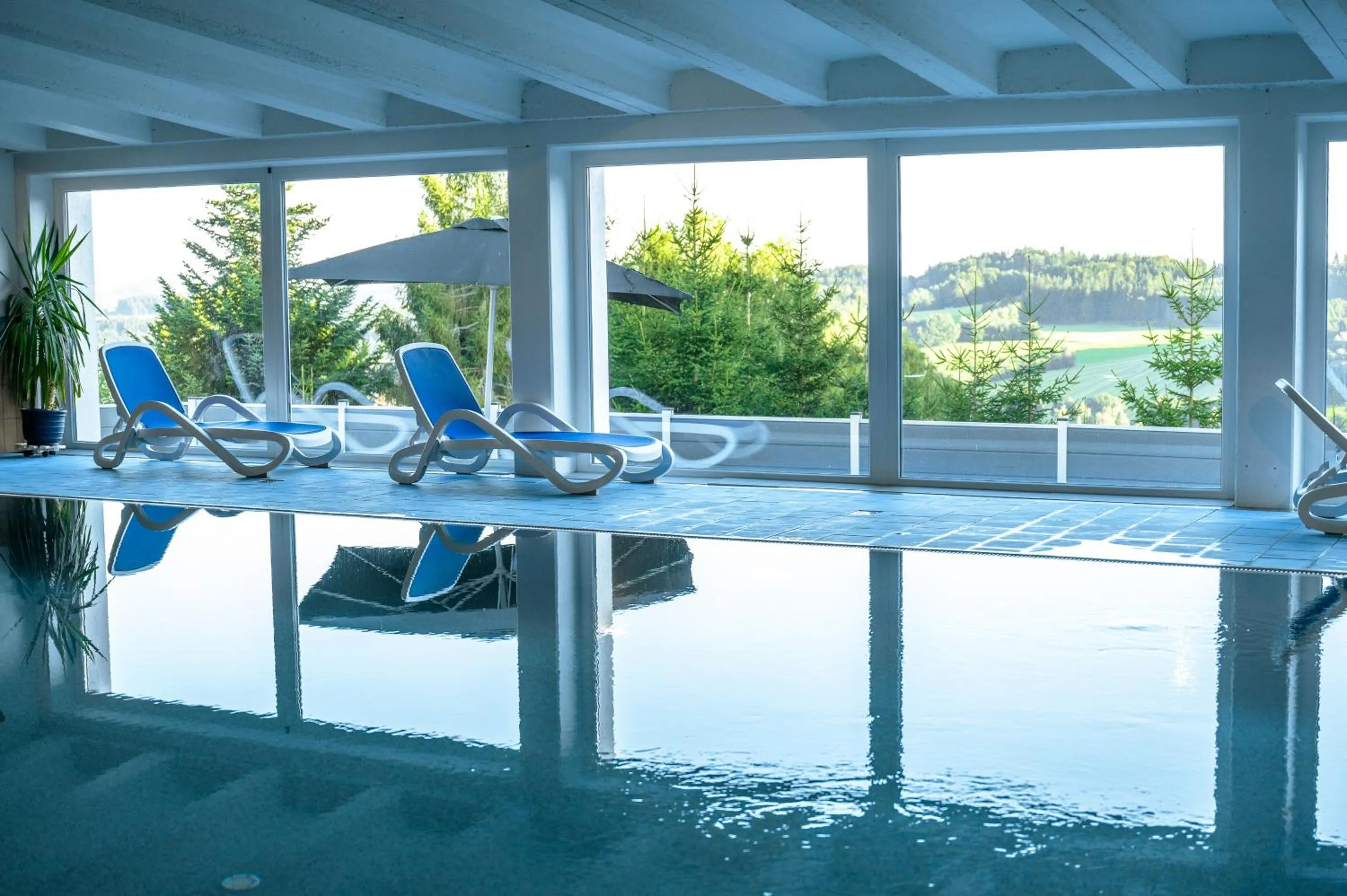 Swimming pool in Landhotel Tannenhof