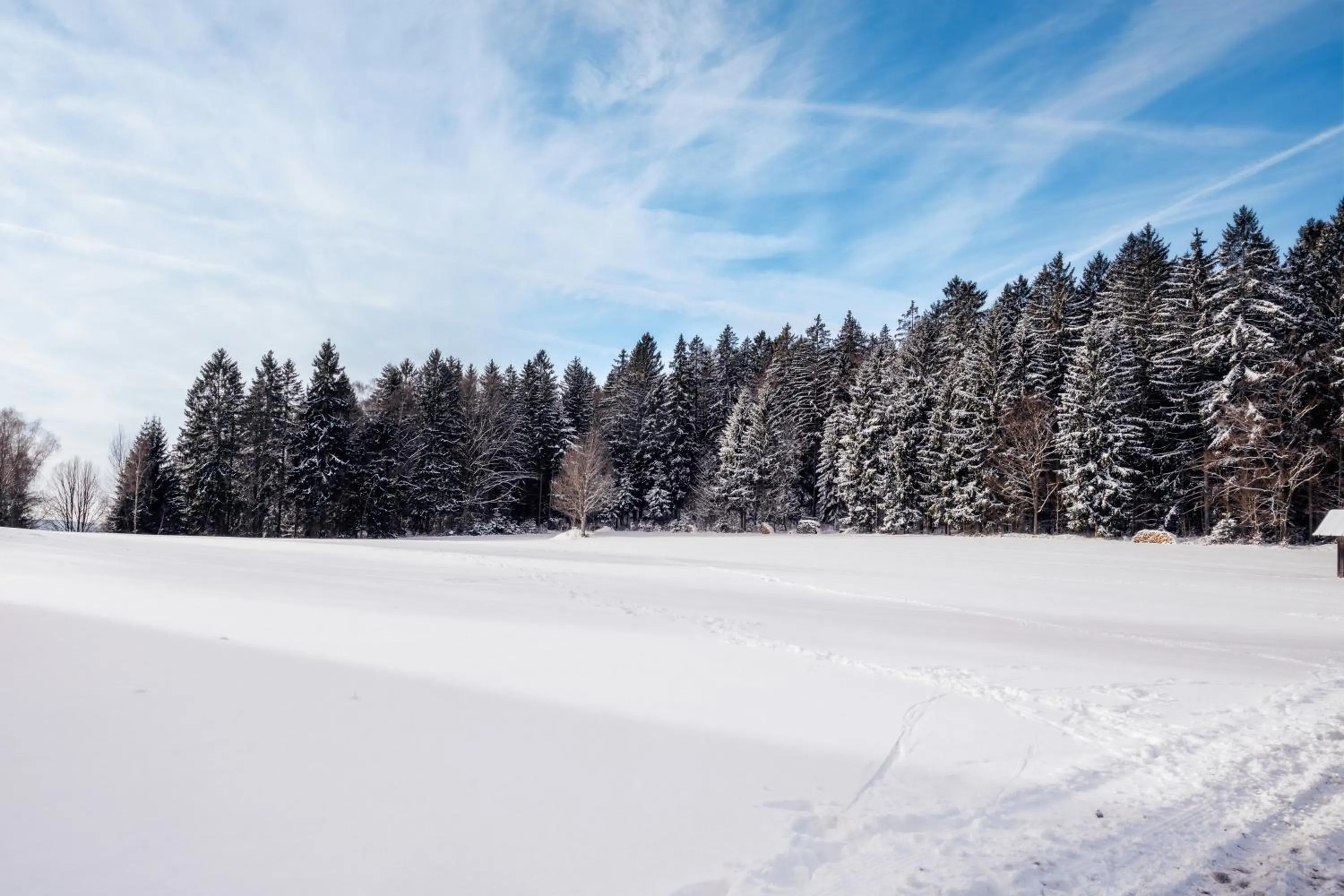 Area and facilities in Landhotel Tannenhof