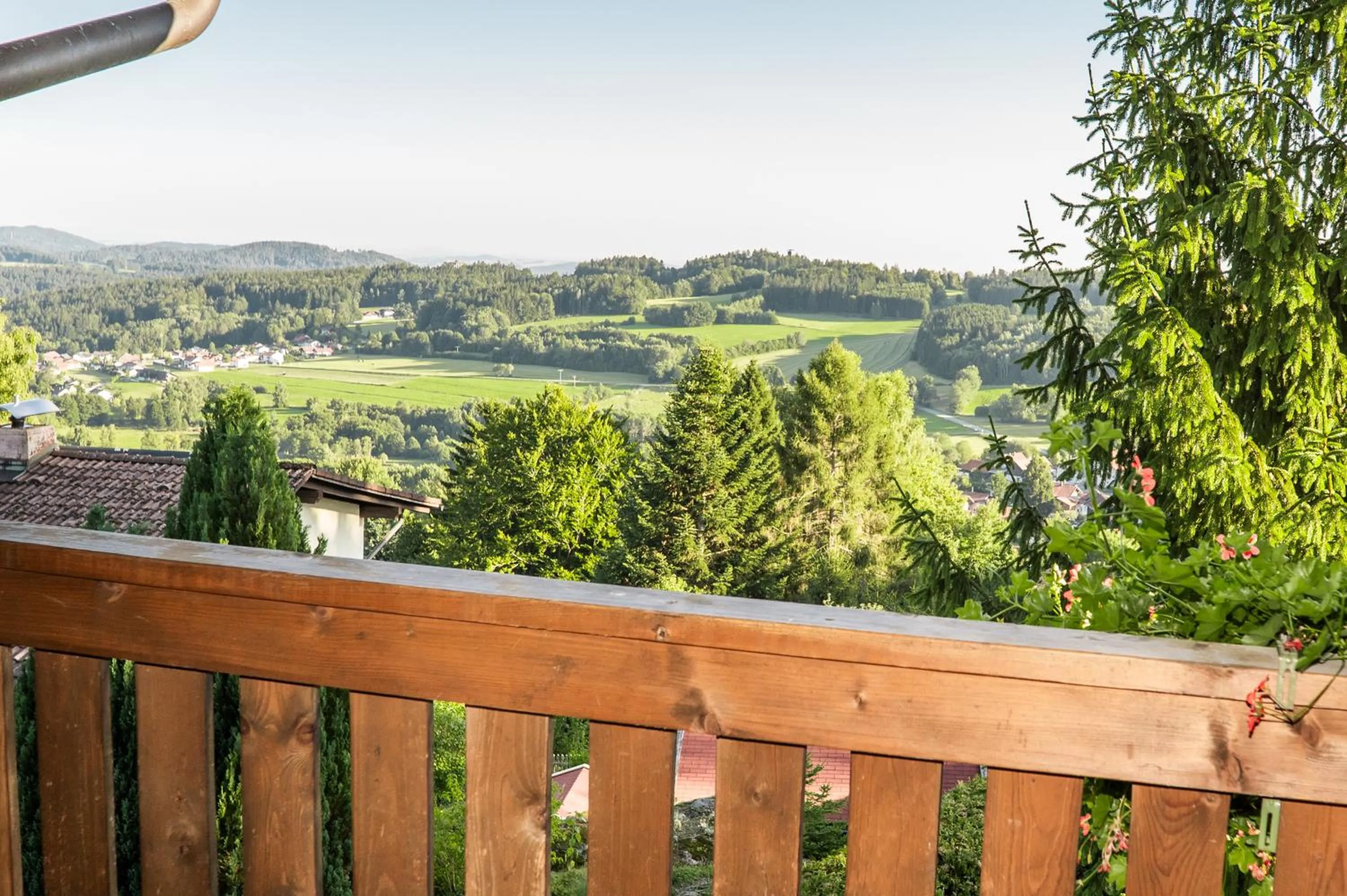 Balcony/Terrace in Landhotel Tannenhof