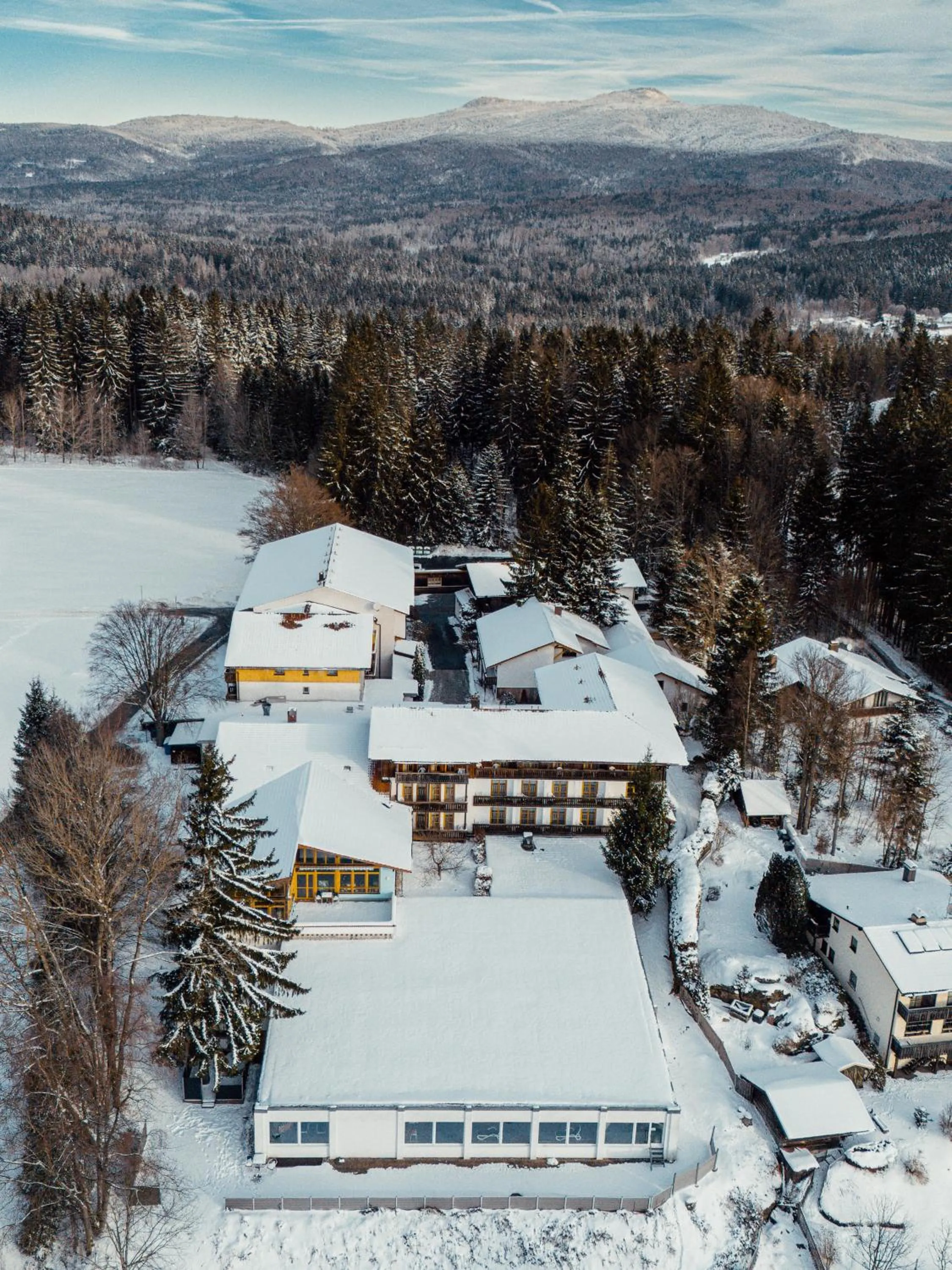 Natural landscape in Landhotel Tannenhof