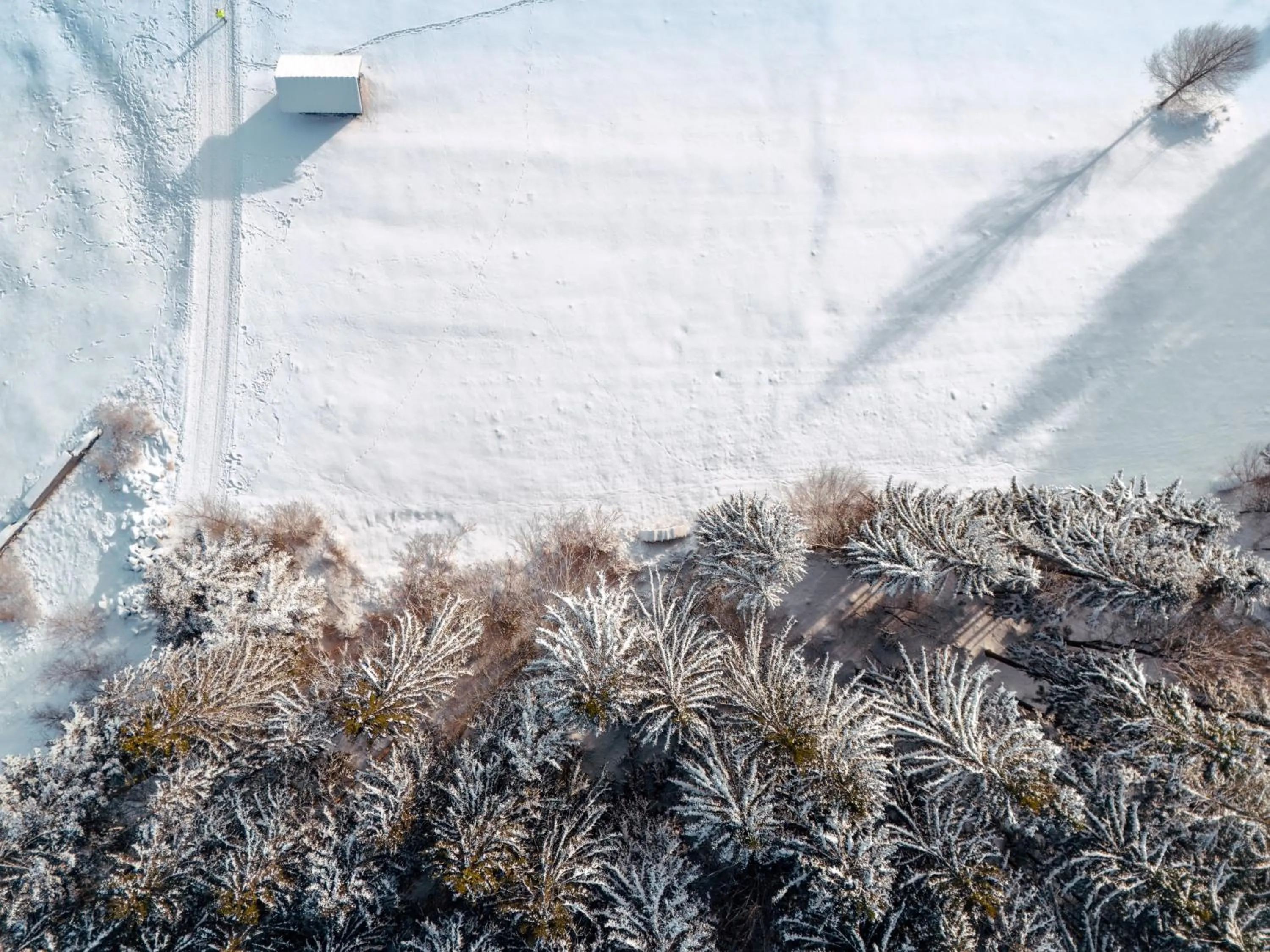 Natural landscape in Landhotel Tannenhof