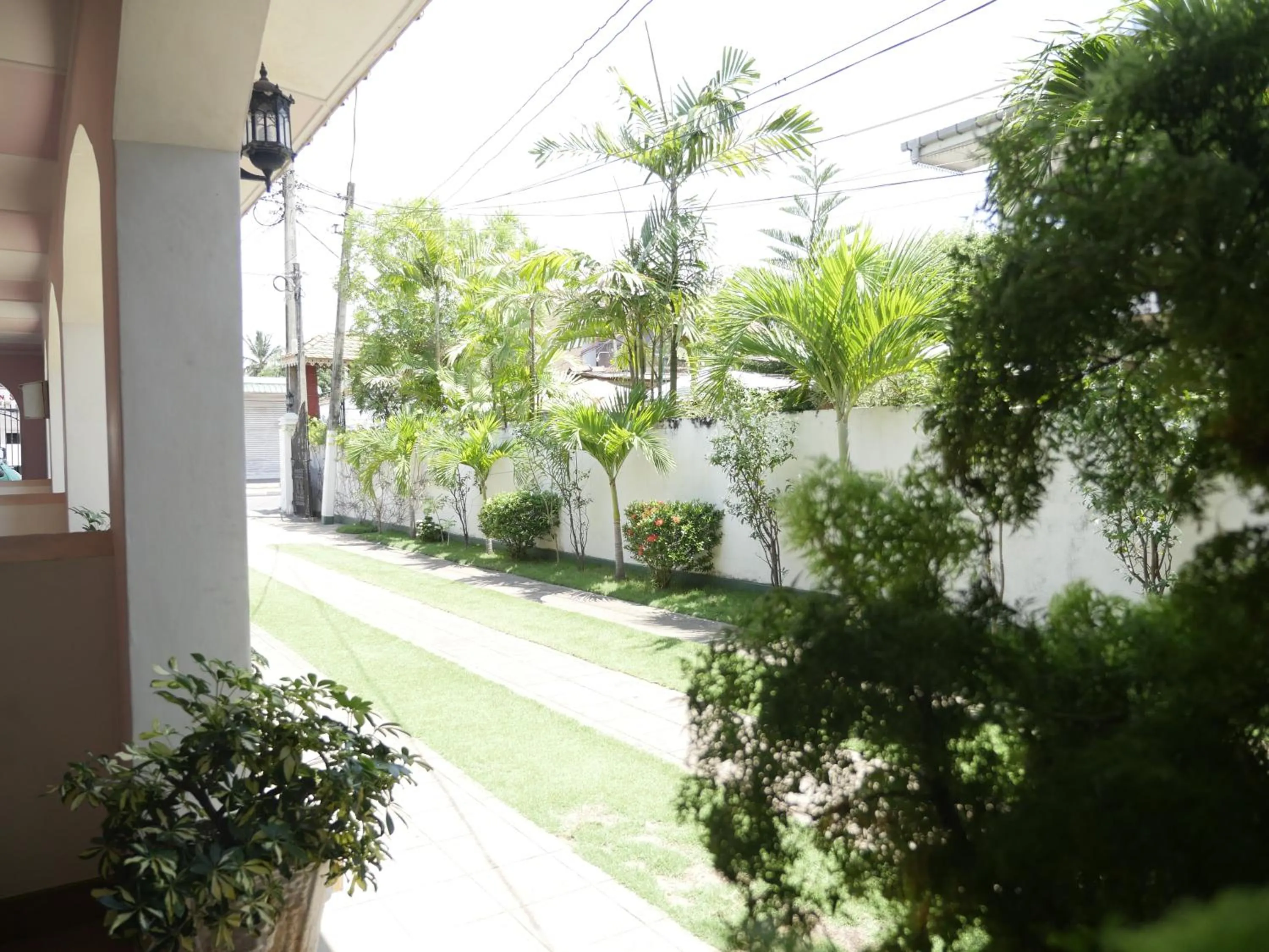 Garden in Ocean View tourist guest house at Negombo beach near the airport