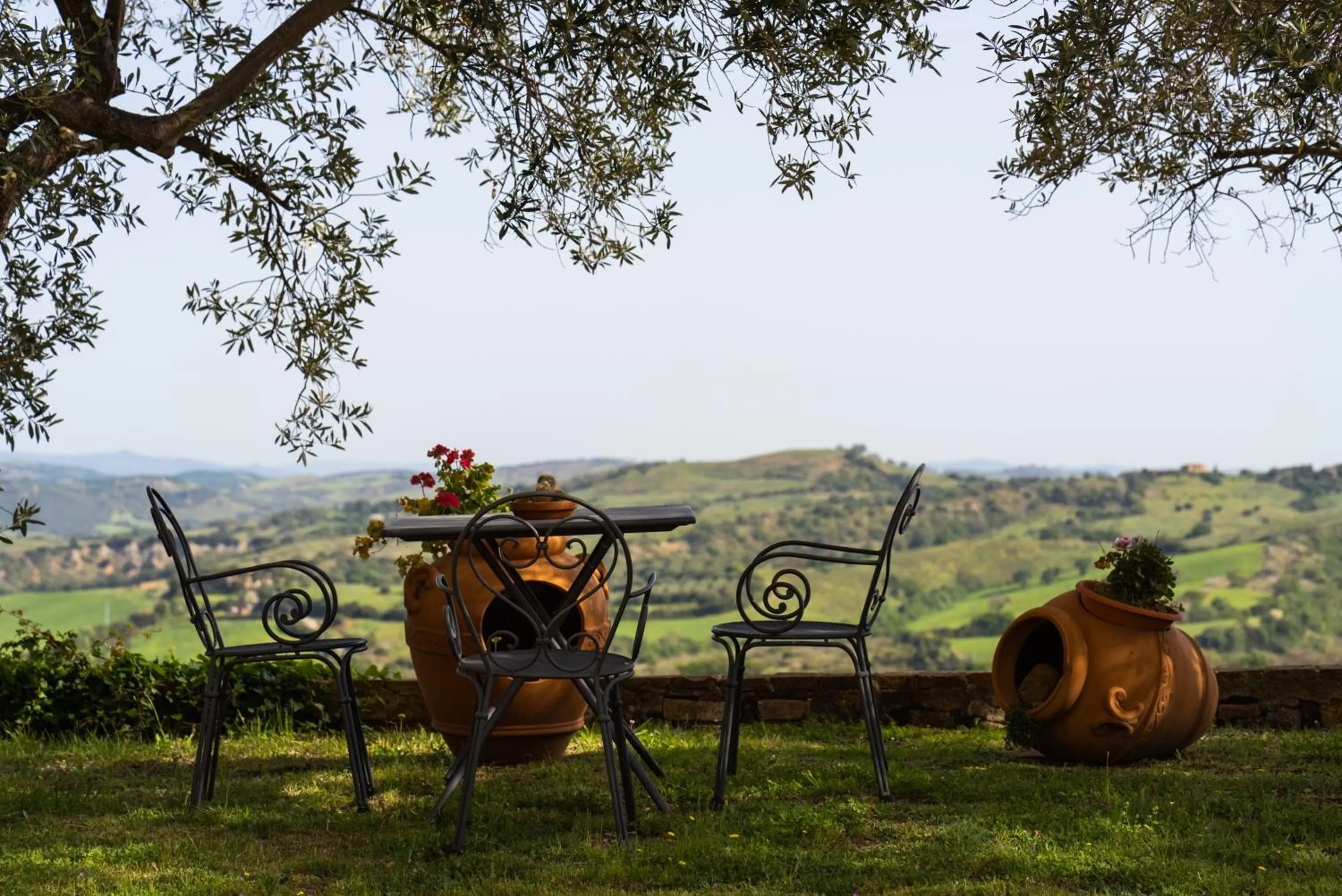 Day in Tenuta Fattoria Vecchia