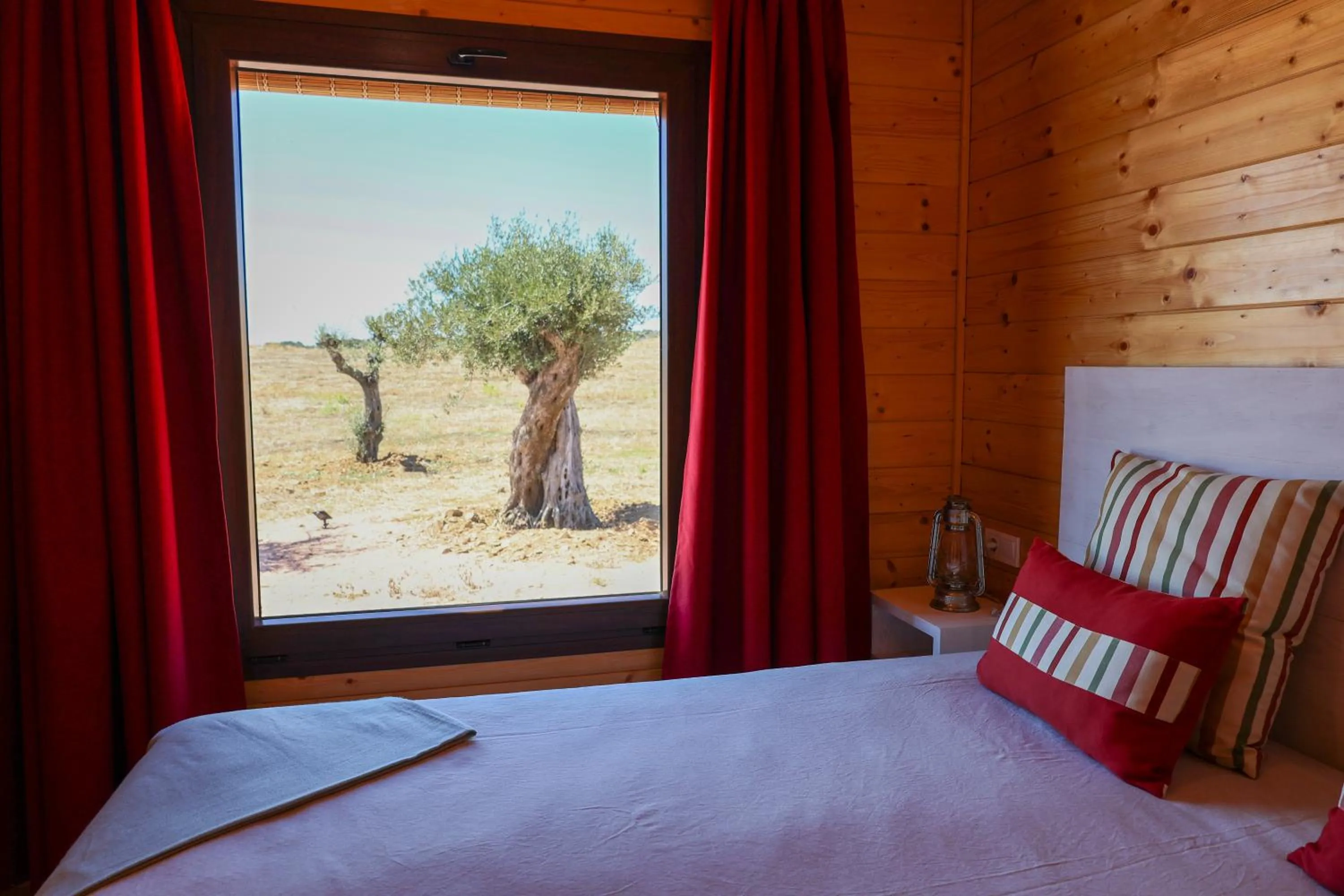 View (from property/room) in Monte dos Cordeiros