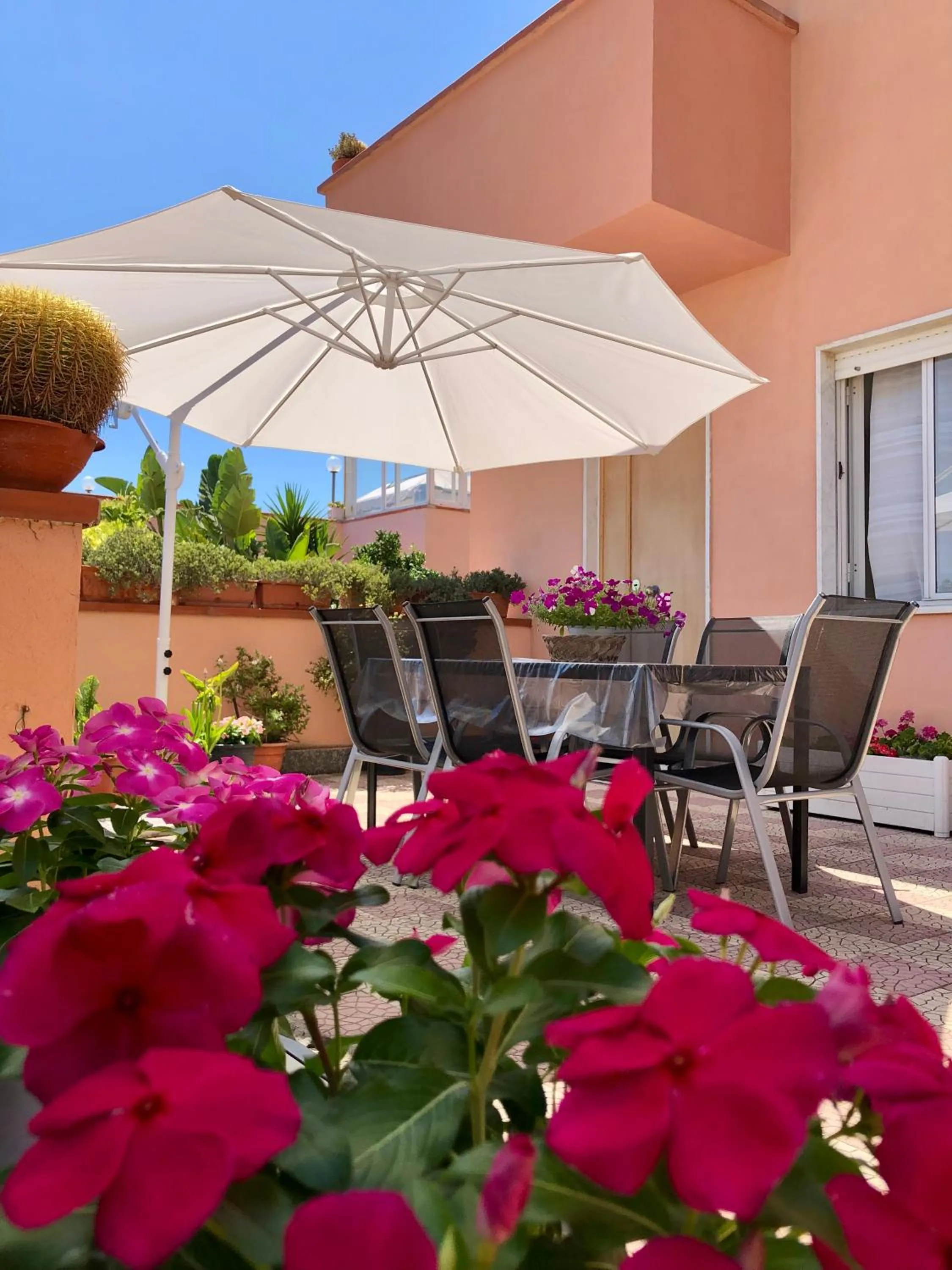 Garden in Anthea B&B