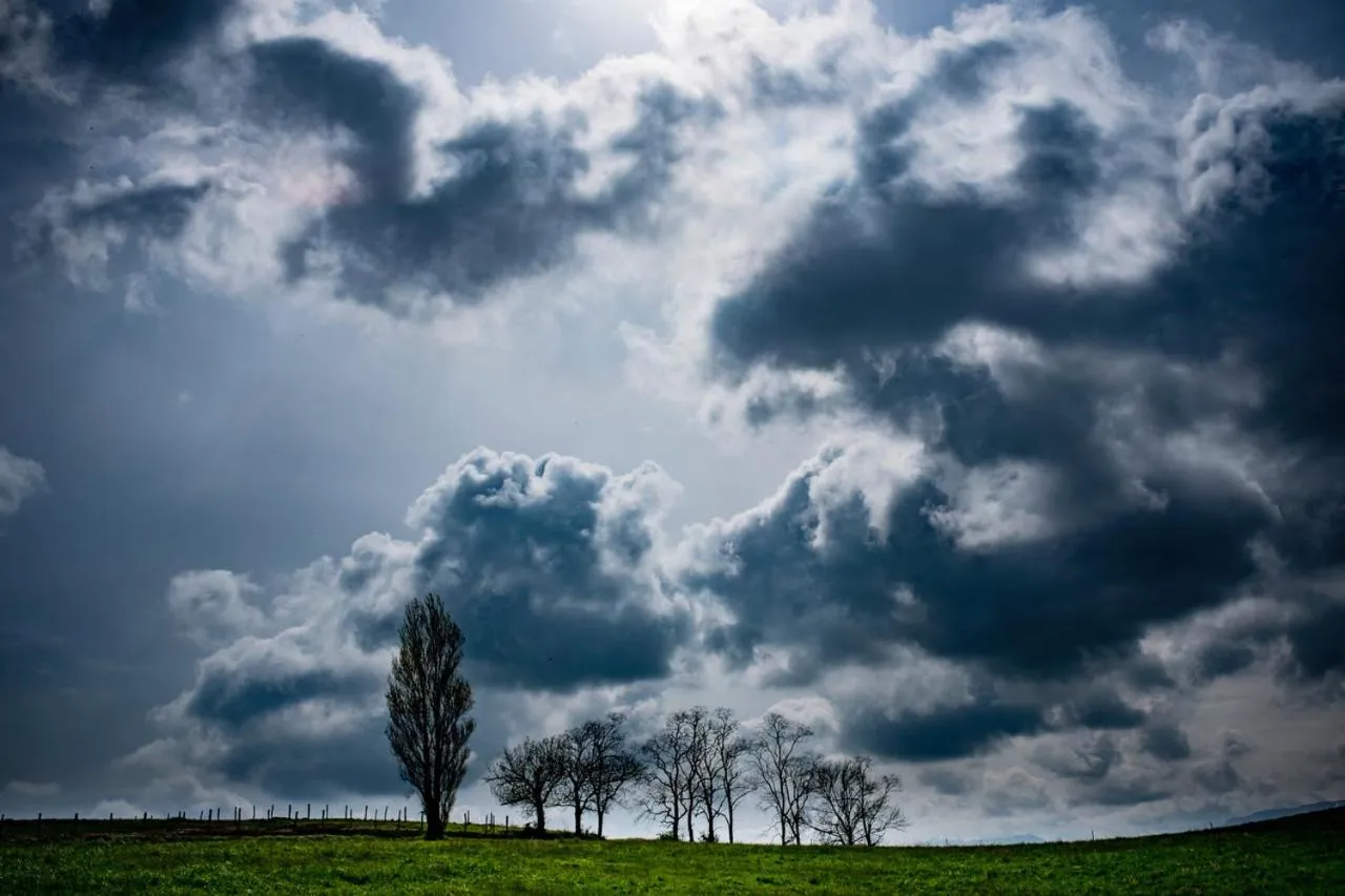 View (from property/room) in El Mirador de Rivas
