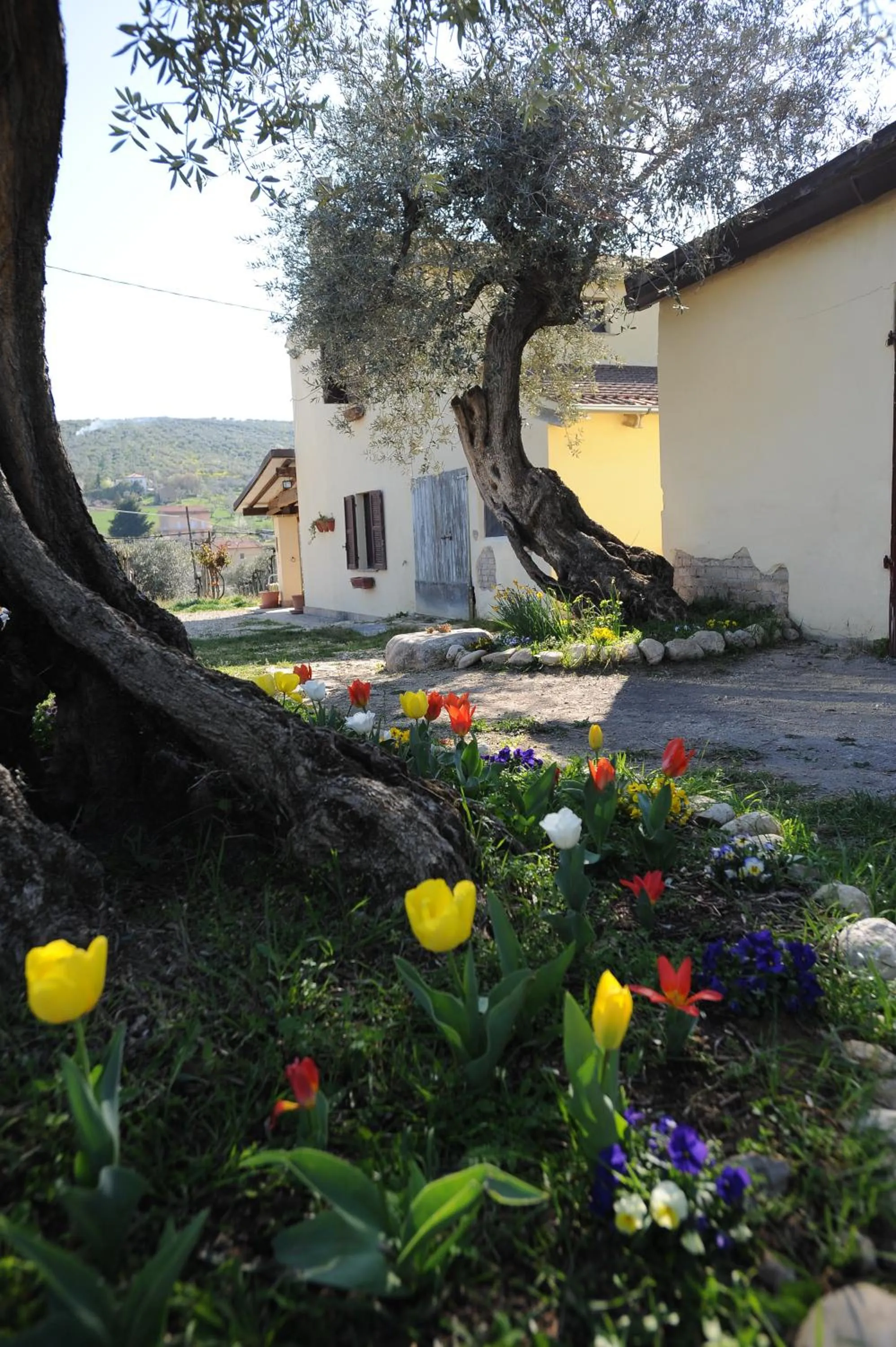 Garden view in B&B Conca Del Pretore