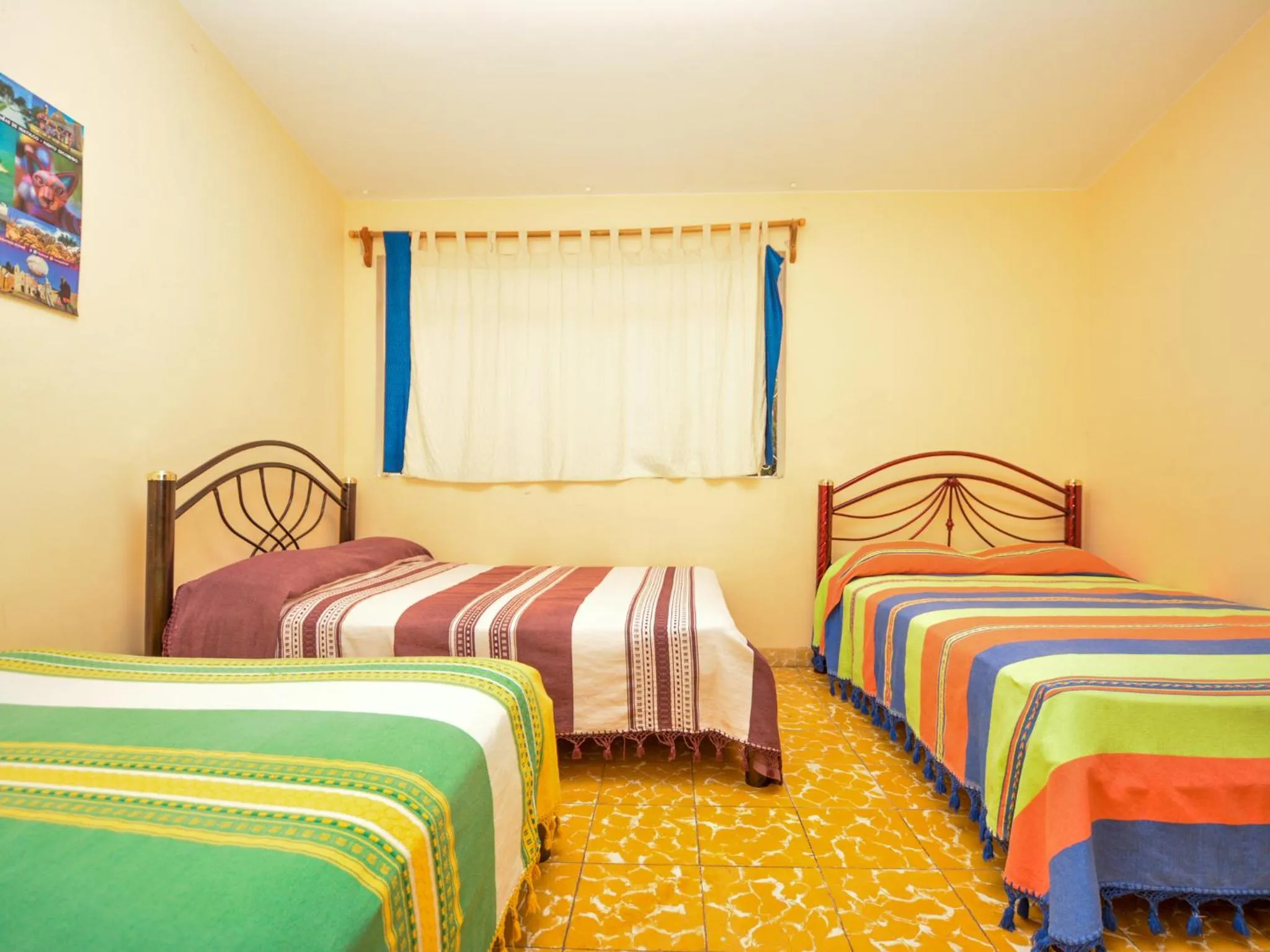 Bed in Los Nardos Hostel -pet friendly-