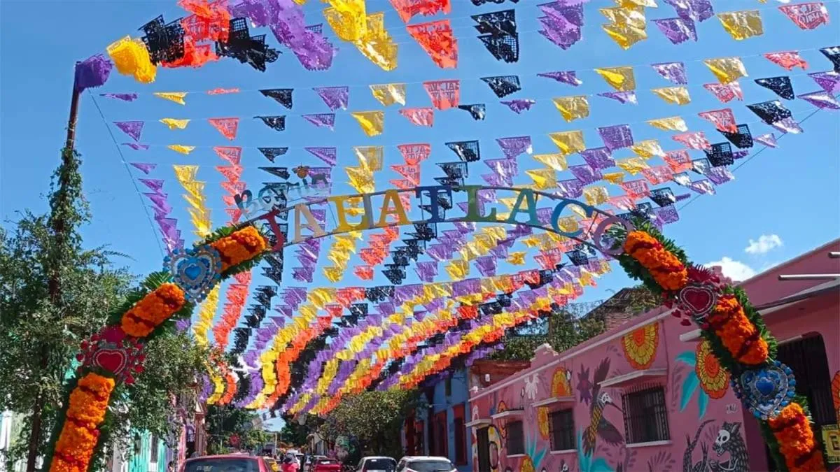 Day in Los Nardos Hostel -pet friendly-