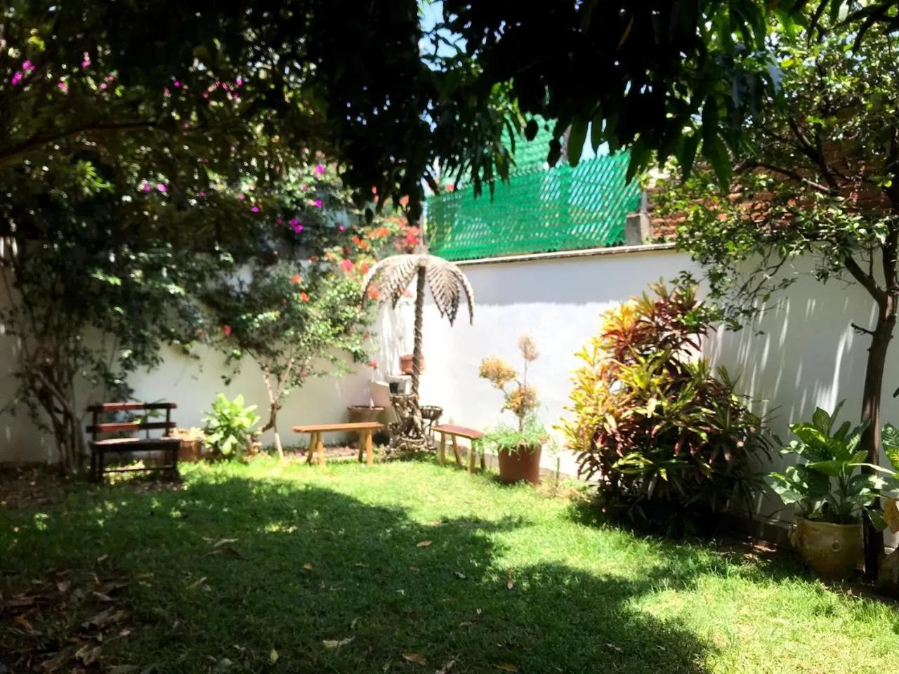 Los Nardos Hostel -pet friendly-