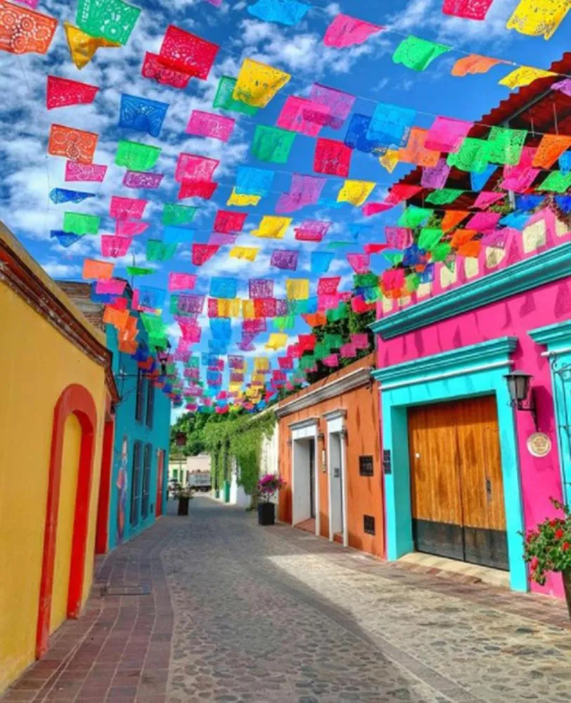 Los Nardos Hostel -pet friendly-