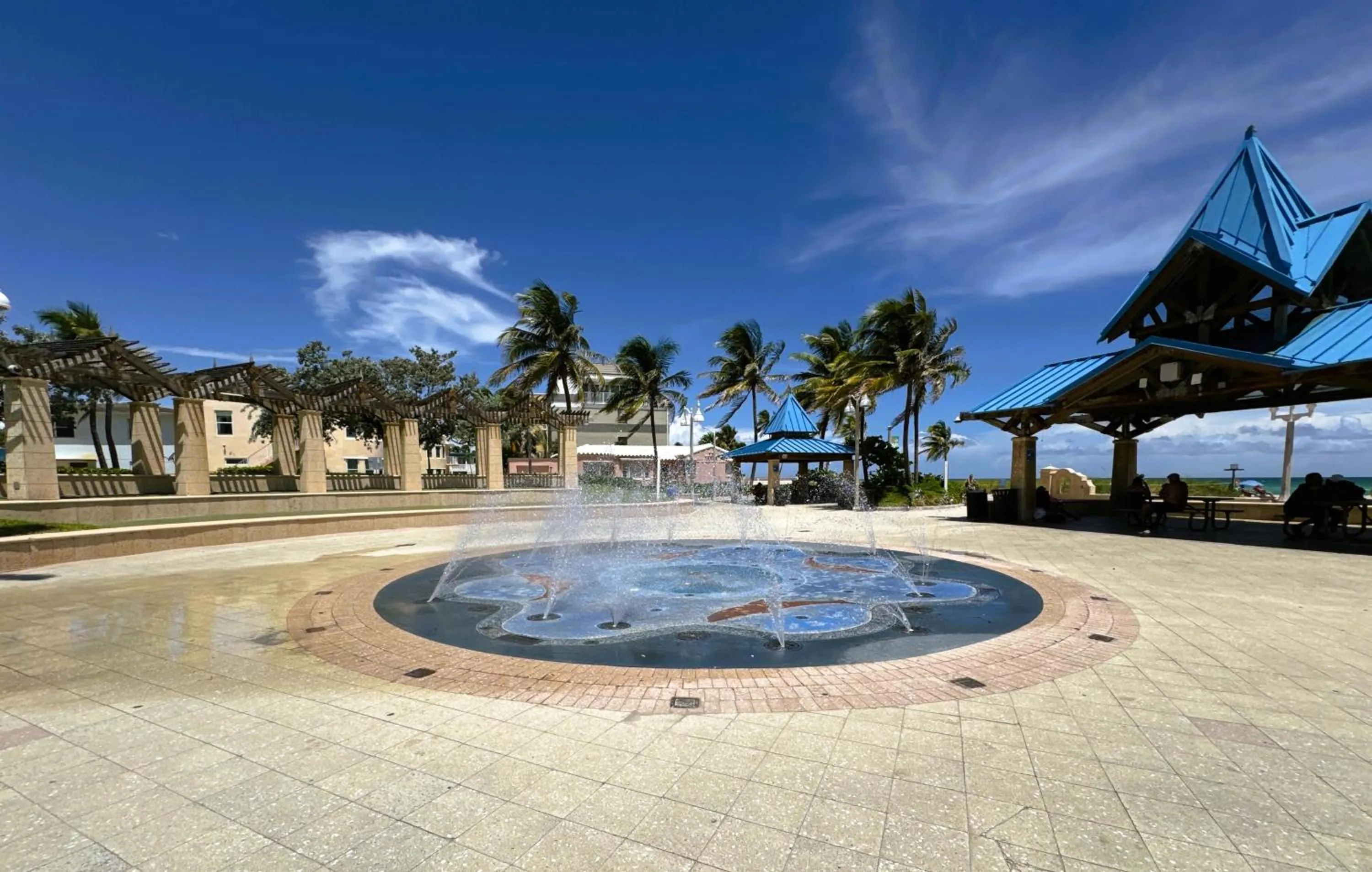 Other in Hollywood Sunrise