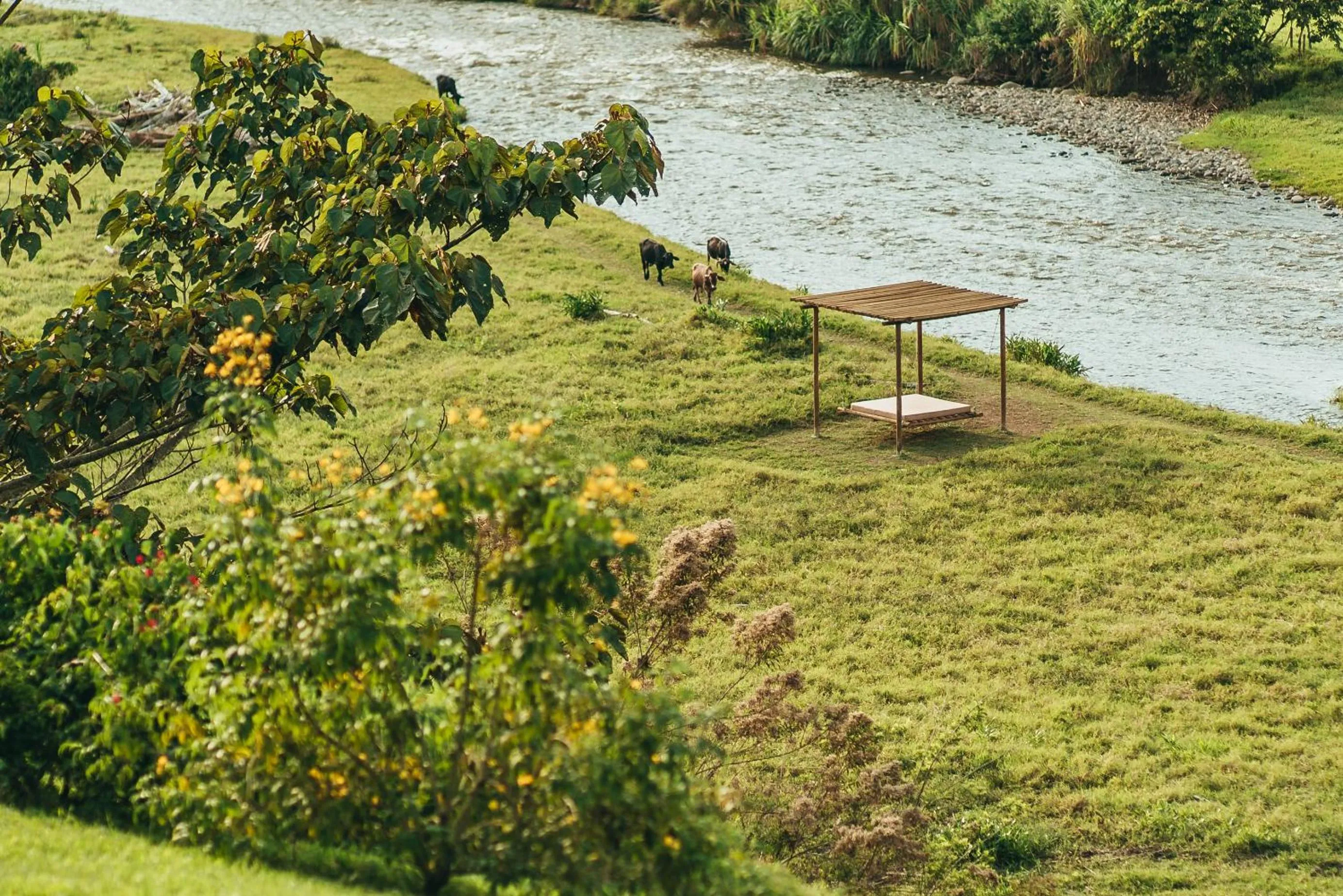 Living room in Glamping Entre Rios