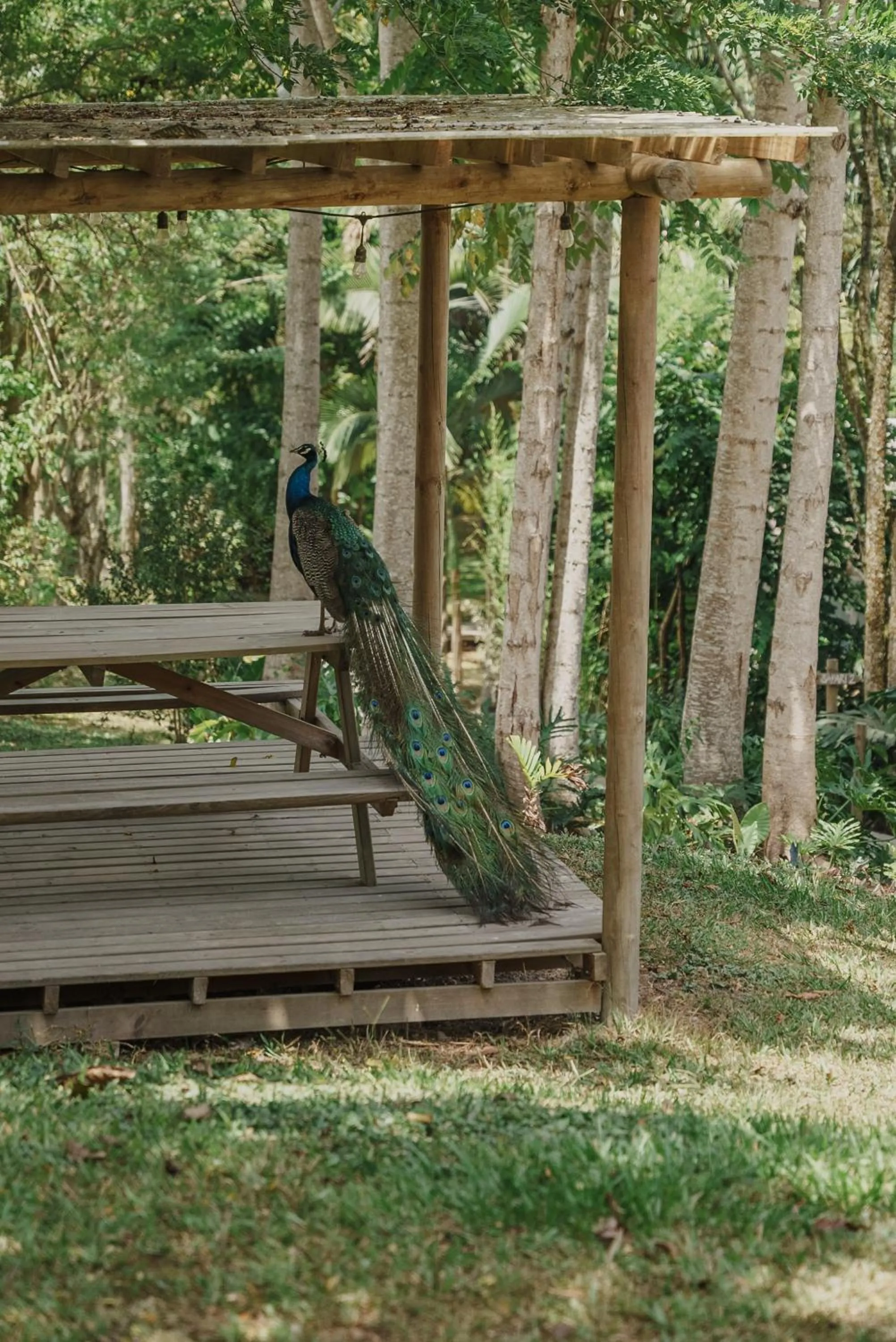 Natural landscape in Glamping Entre Rios