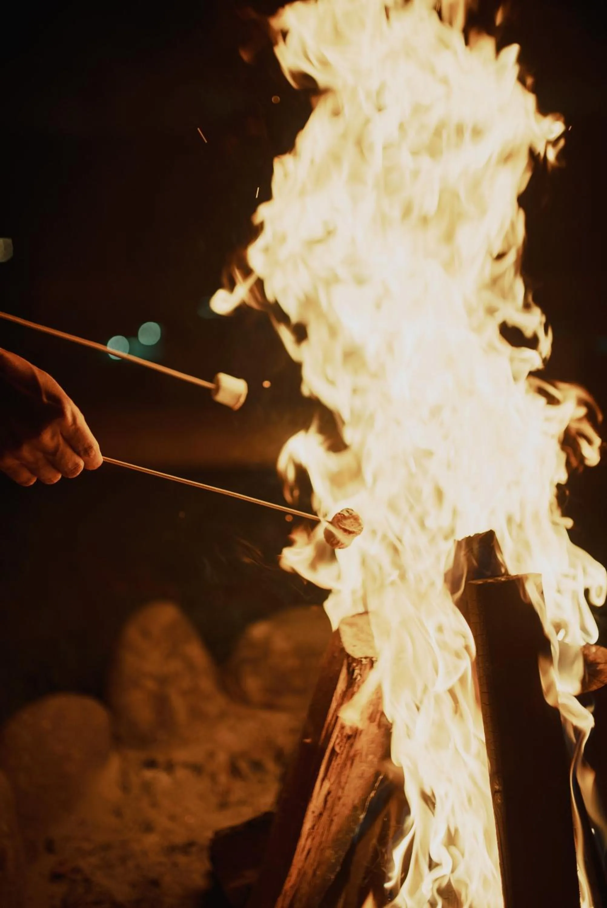 Night in Glamping Entre Rios