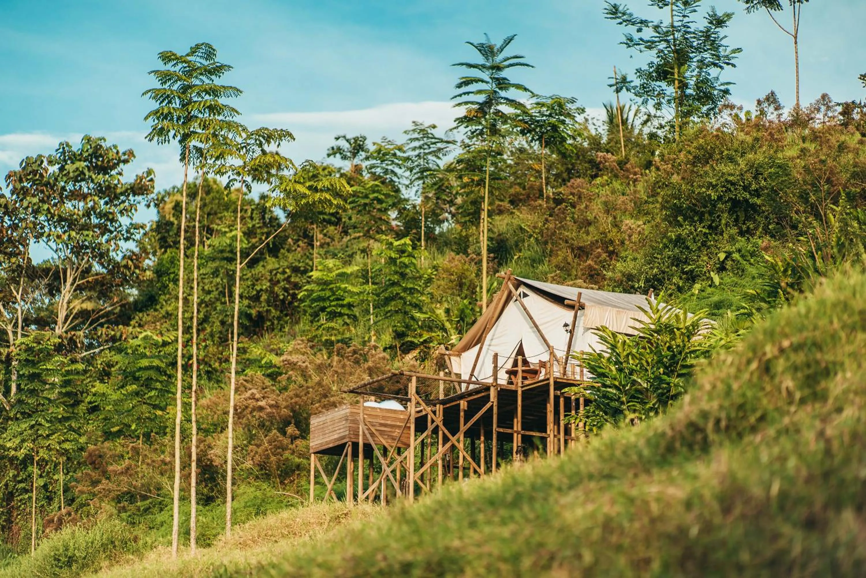 Garden view in Glamping Entre Rios