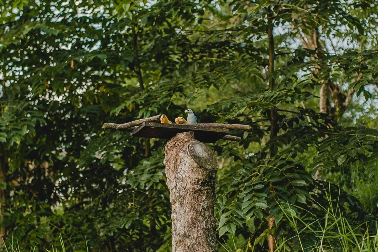 Hiking in Glamping Entre Rios