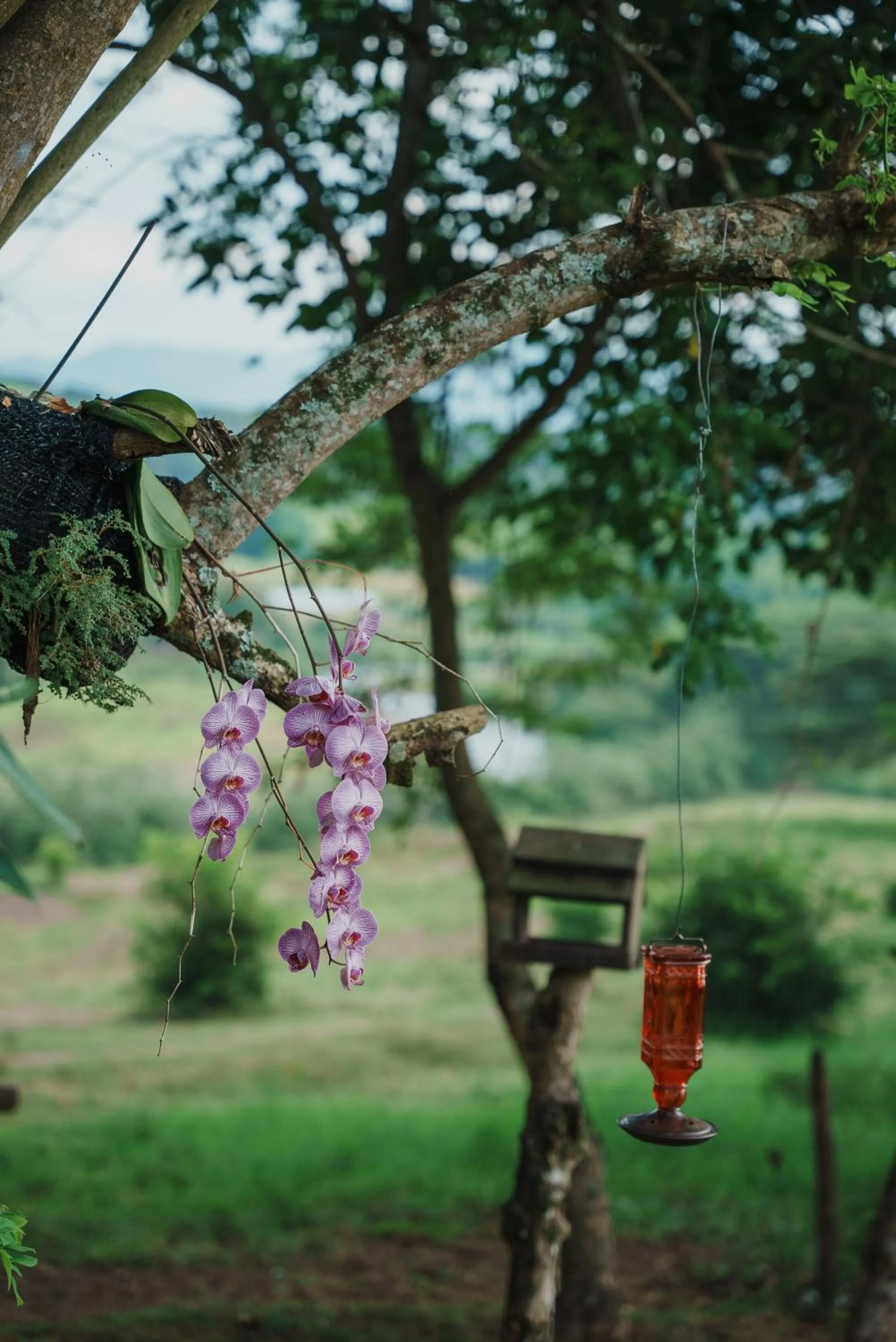 Natural landscape in Glamping Entre Rios