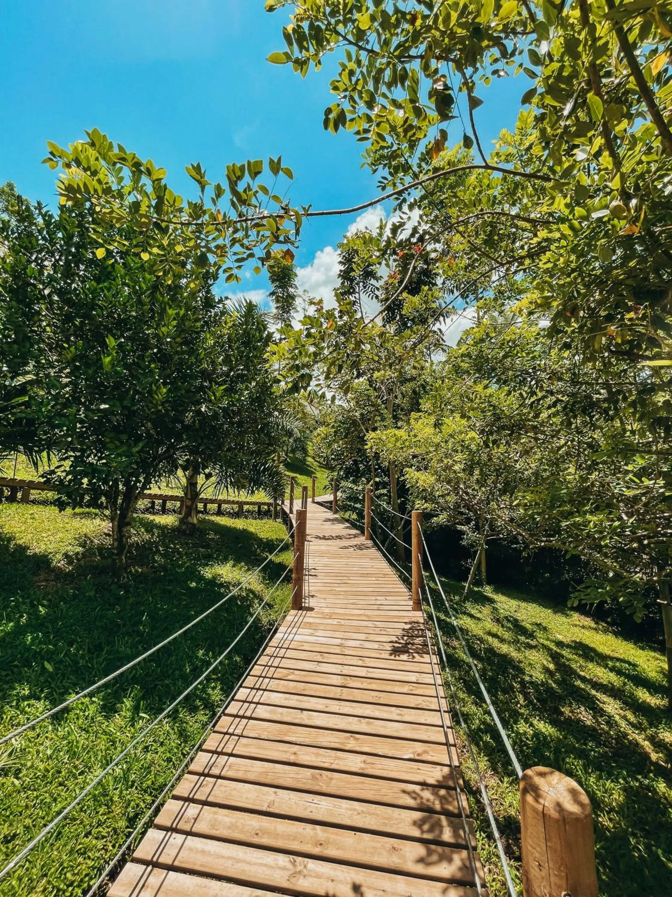Hiking in Glamping Entre Rios