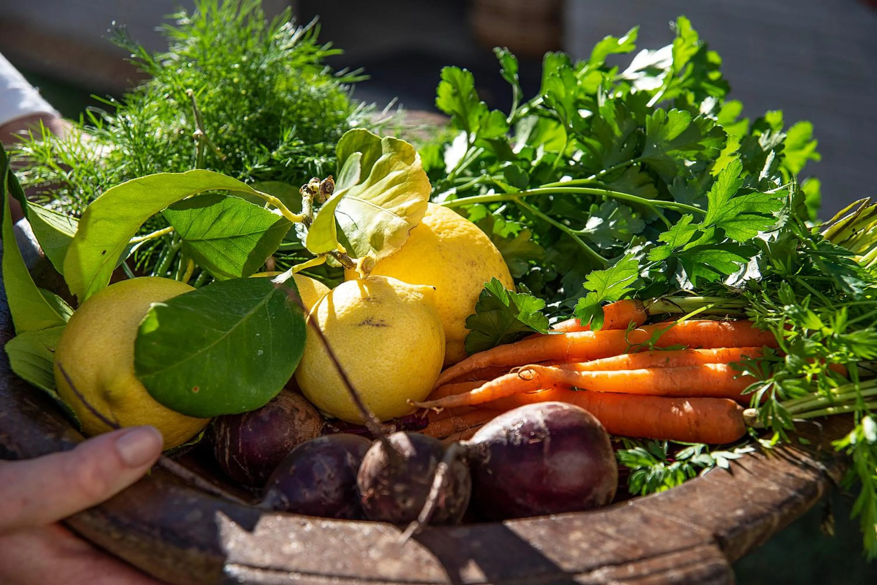 Garden in Prospect Country House & Restaurant