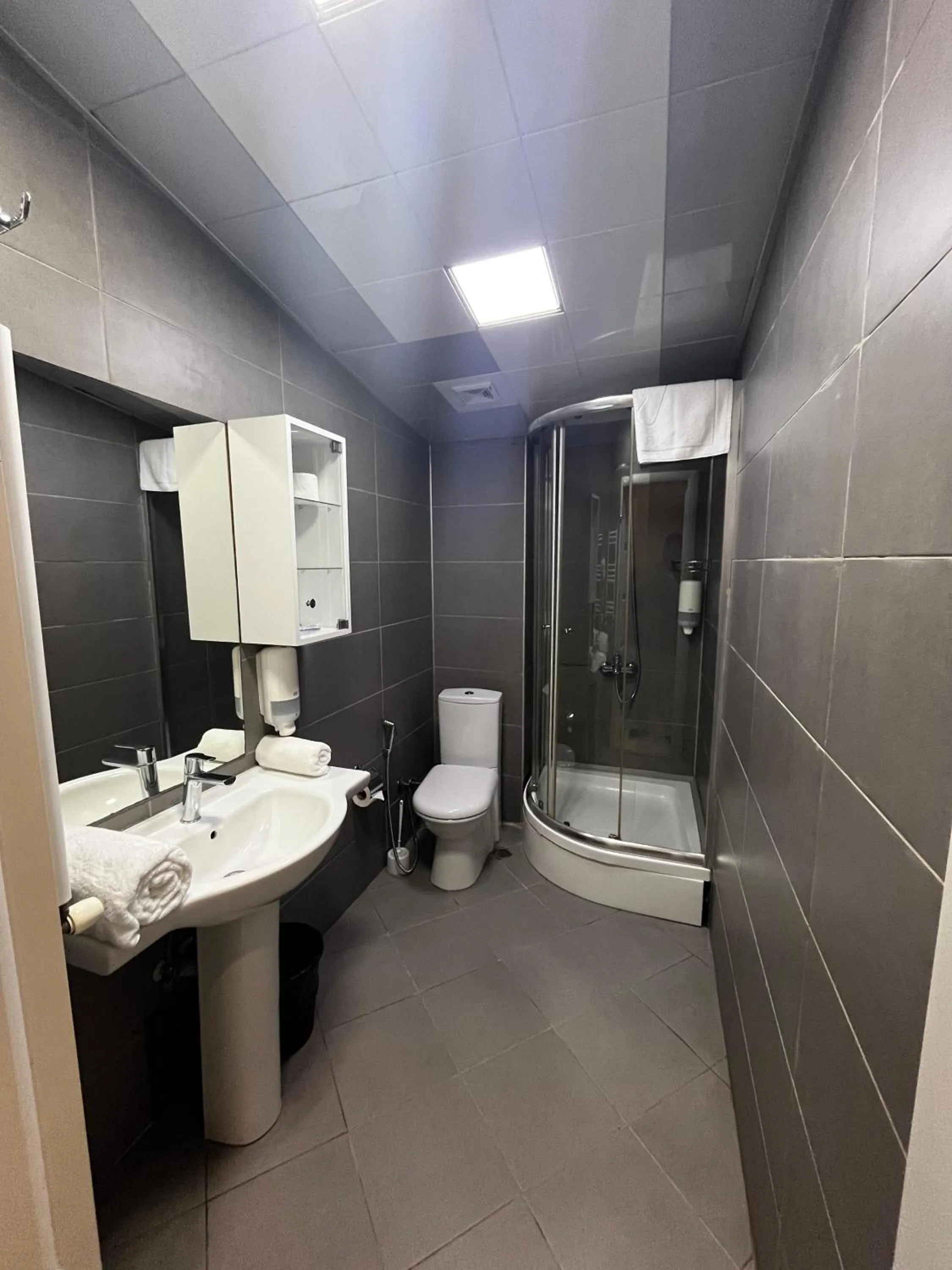 Shower in Diplomat Suites Hotel