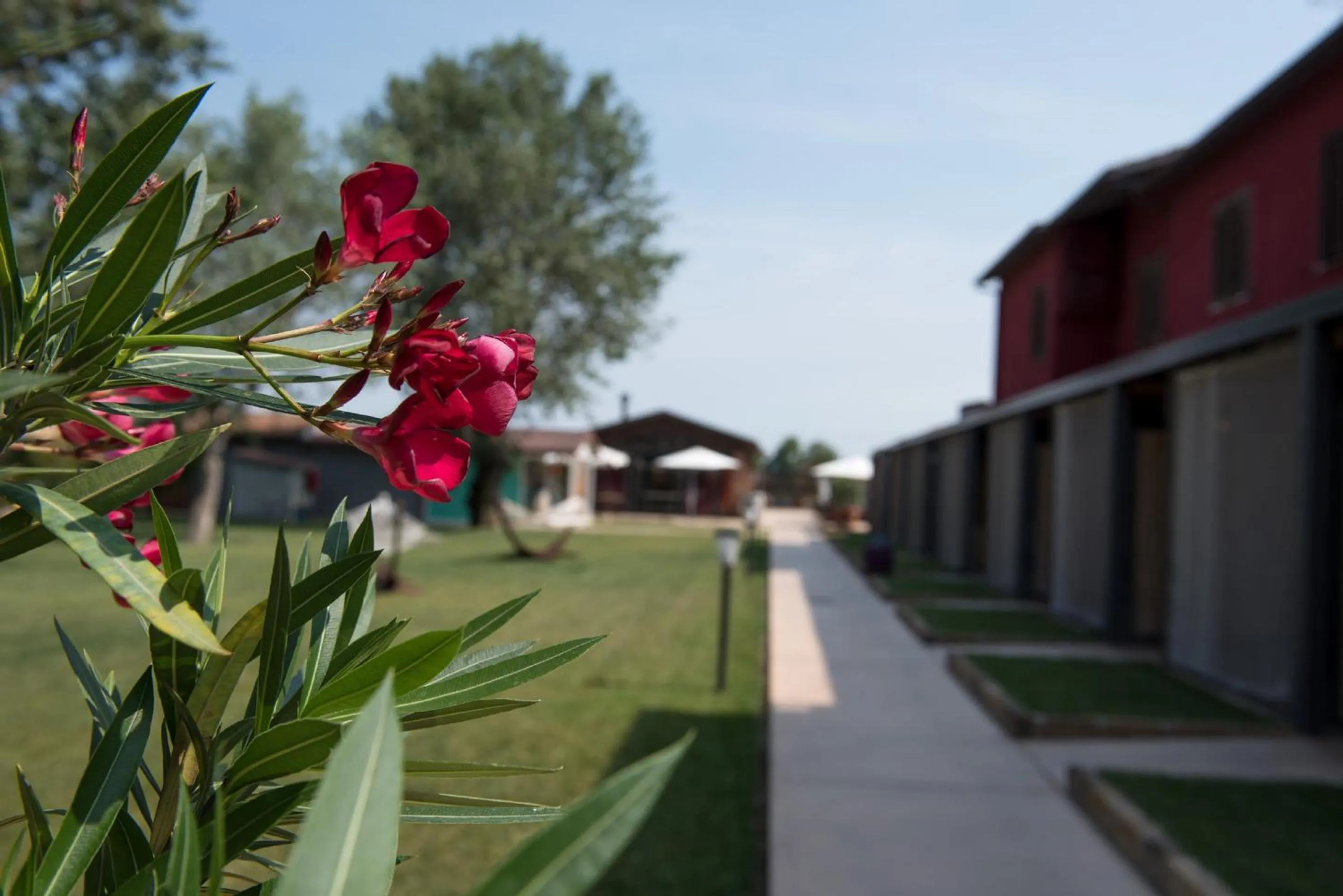 Property building in Country Resort Le Due Ruote