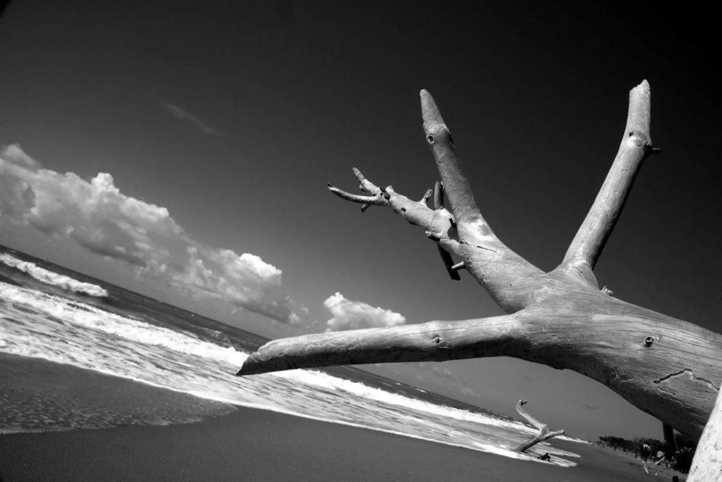 Natural landscape in Country Resort Le Due Ruote