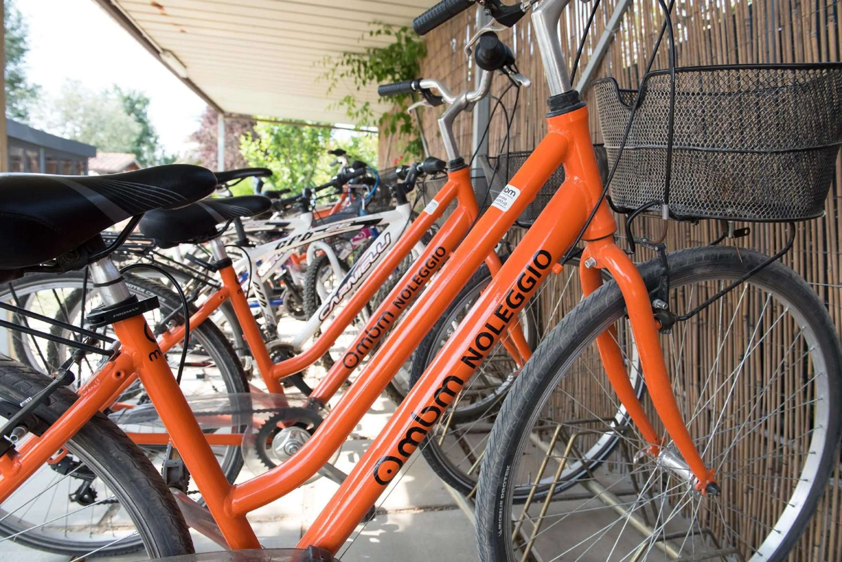 Cycling in Country Resort Le Due Ruote