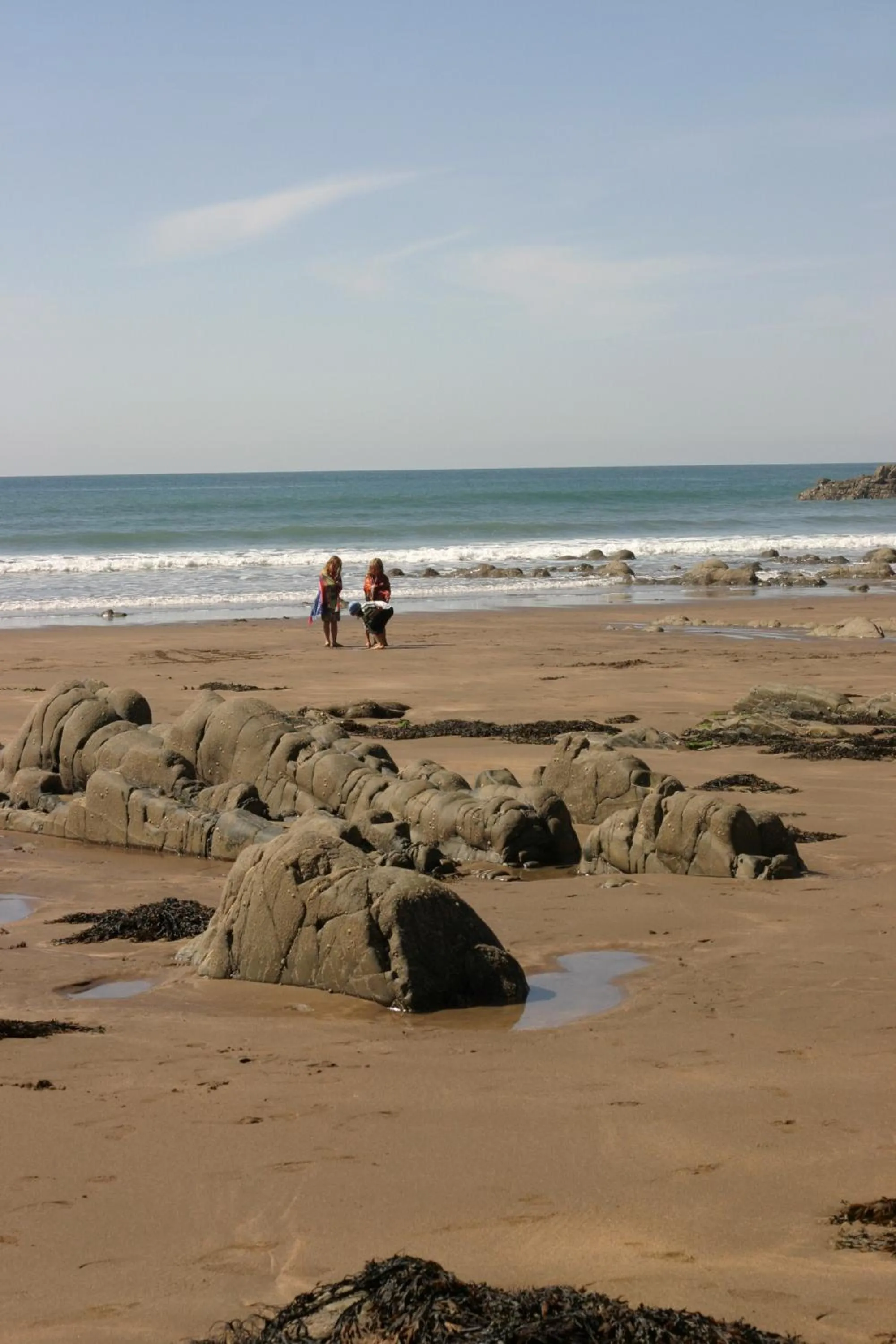 Garden in Hartland Quay Hotel