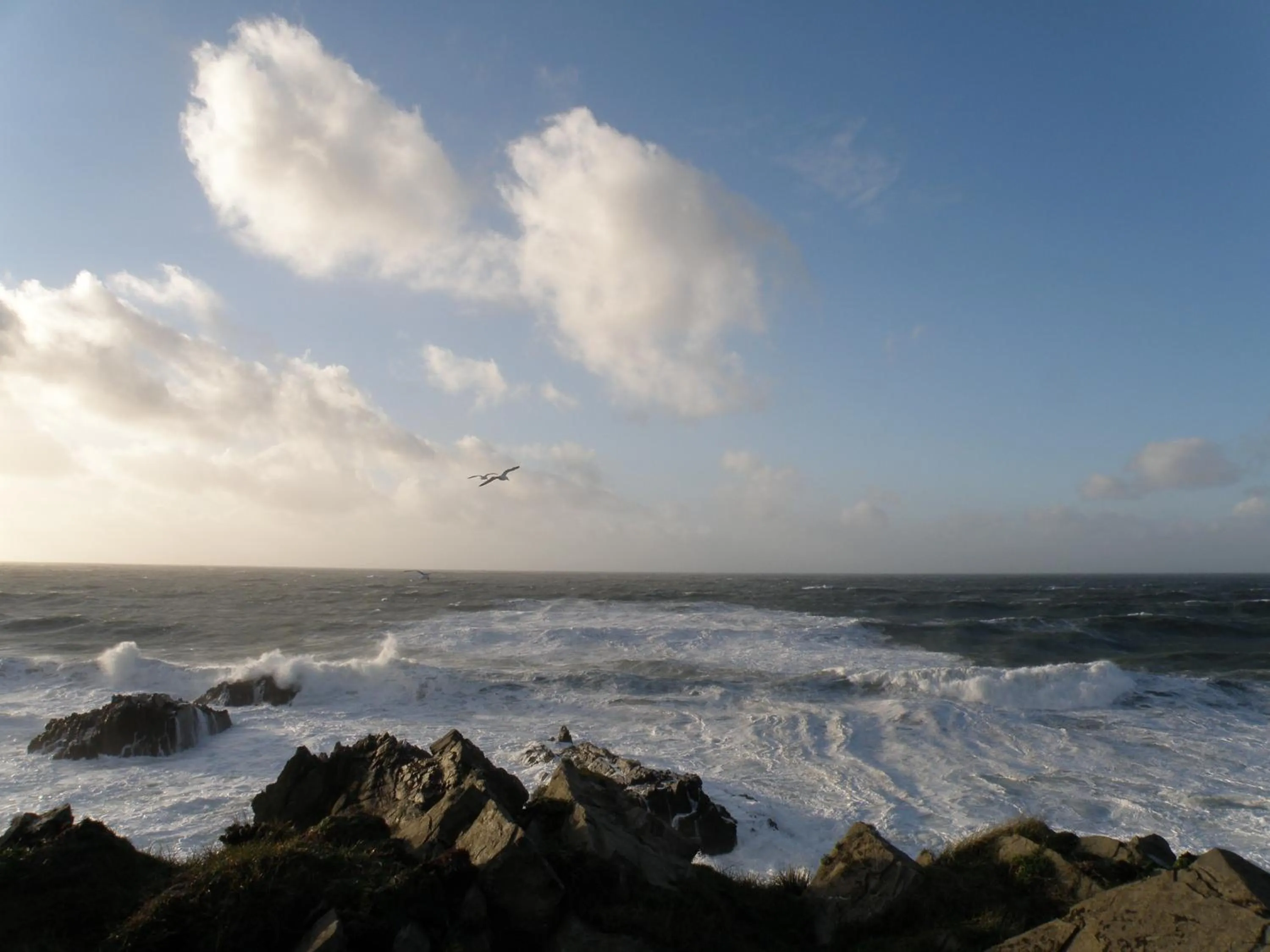 View (from property/room) in Hartland Quay Hotel