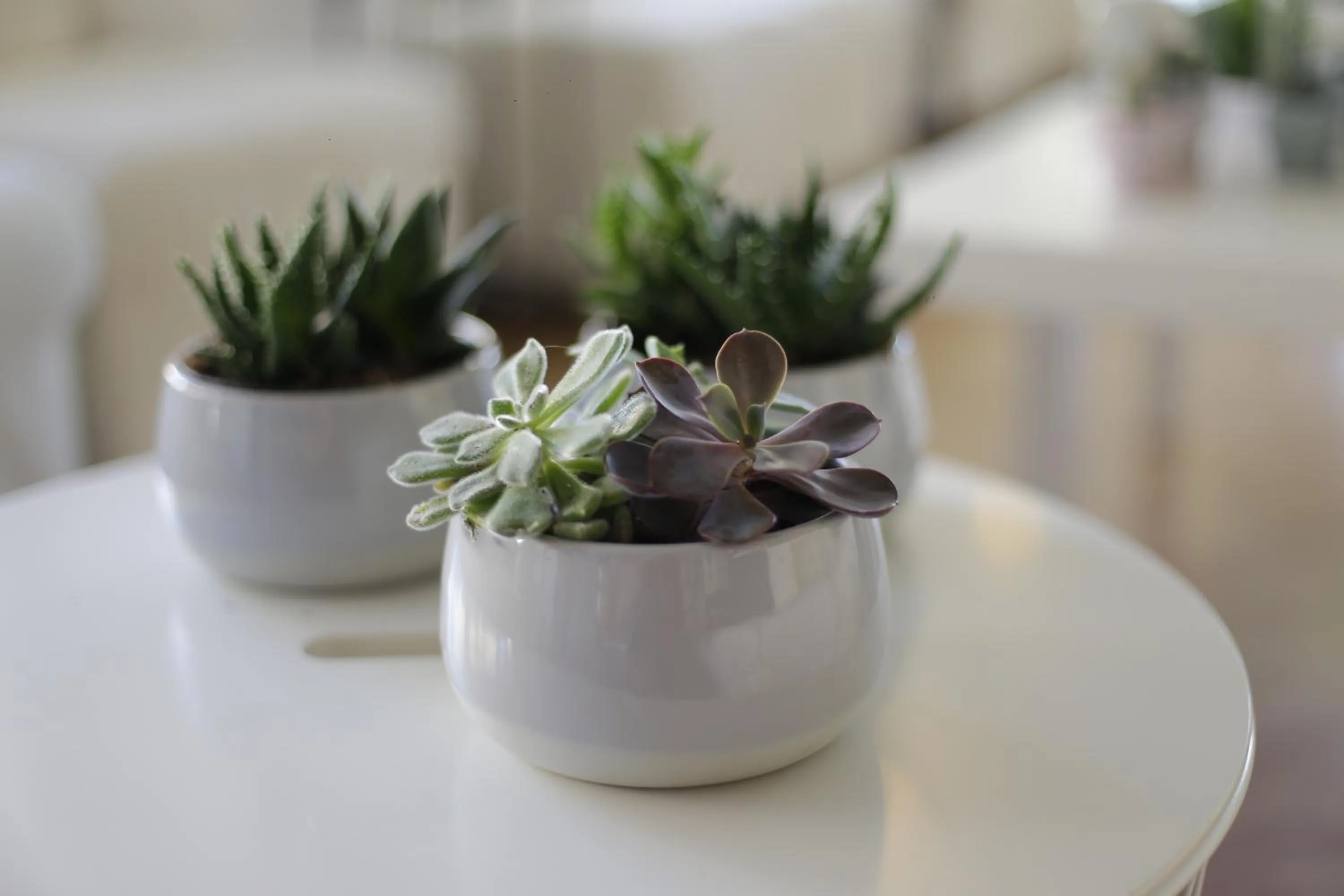 On site in Residenza Sol Holiday